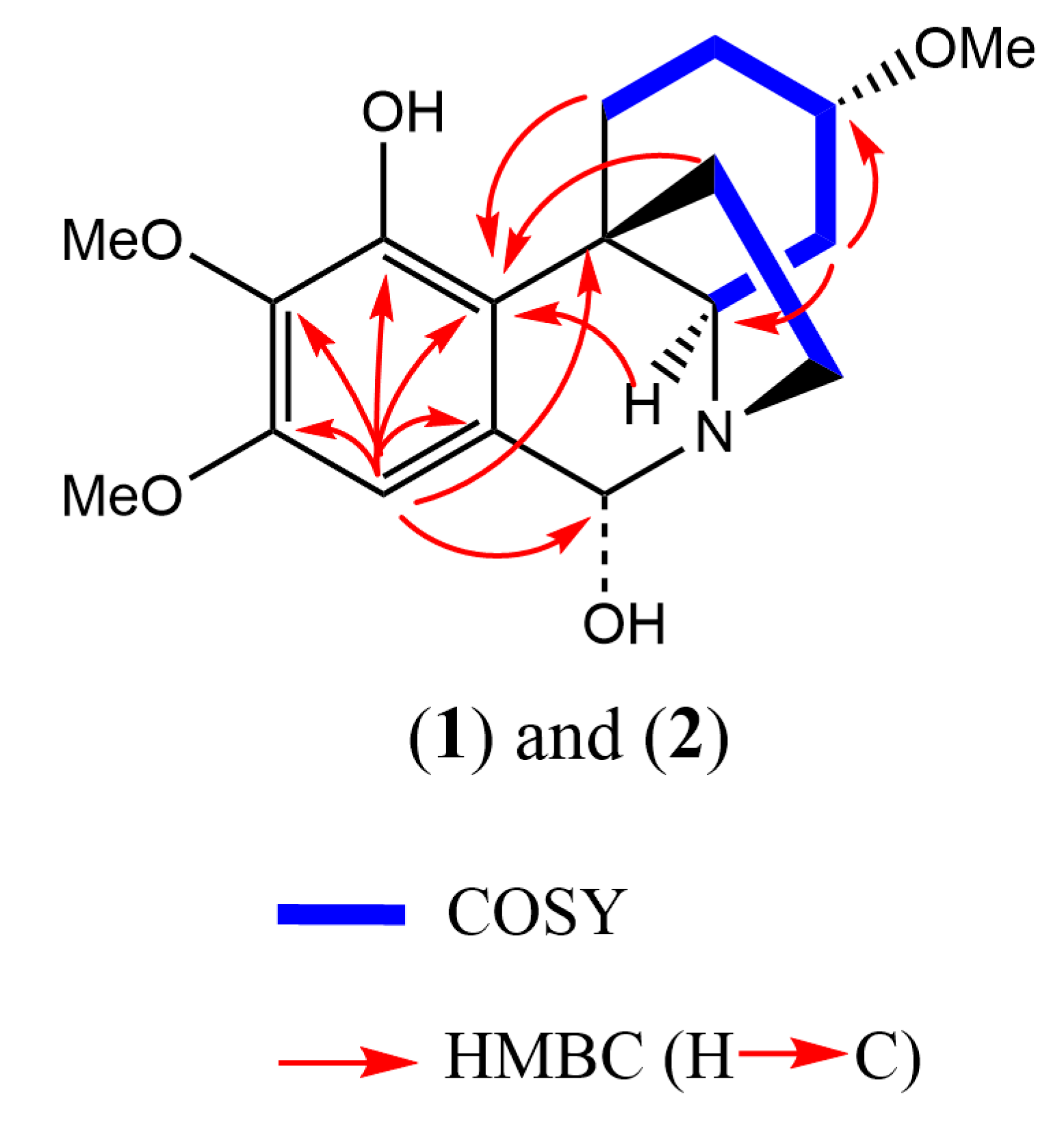 Molecules 28 00214 g004