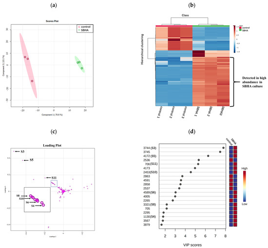 Metabolomic Strategy to Characterize the Profile of