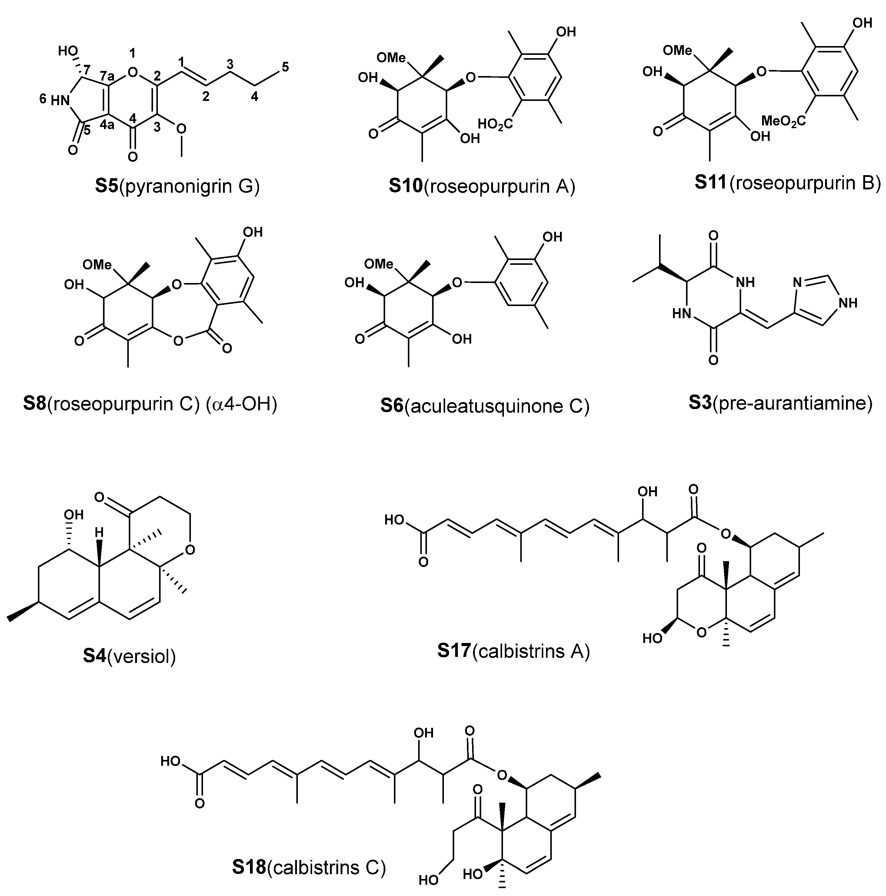 Metabolomic Strategy to Characterize the Profile of