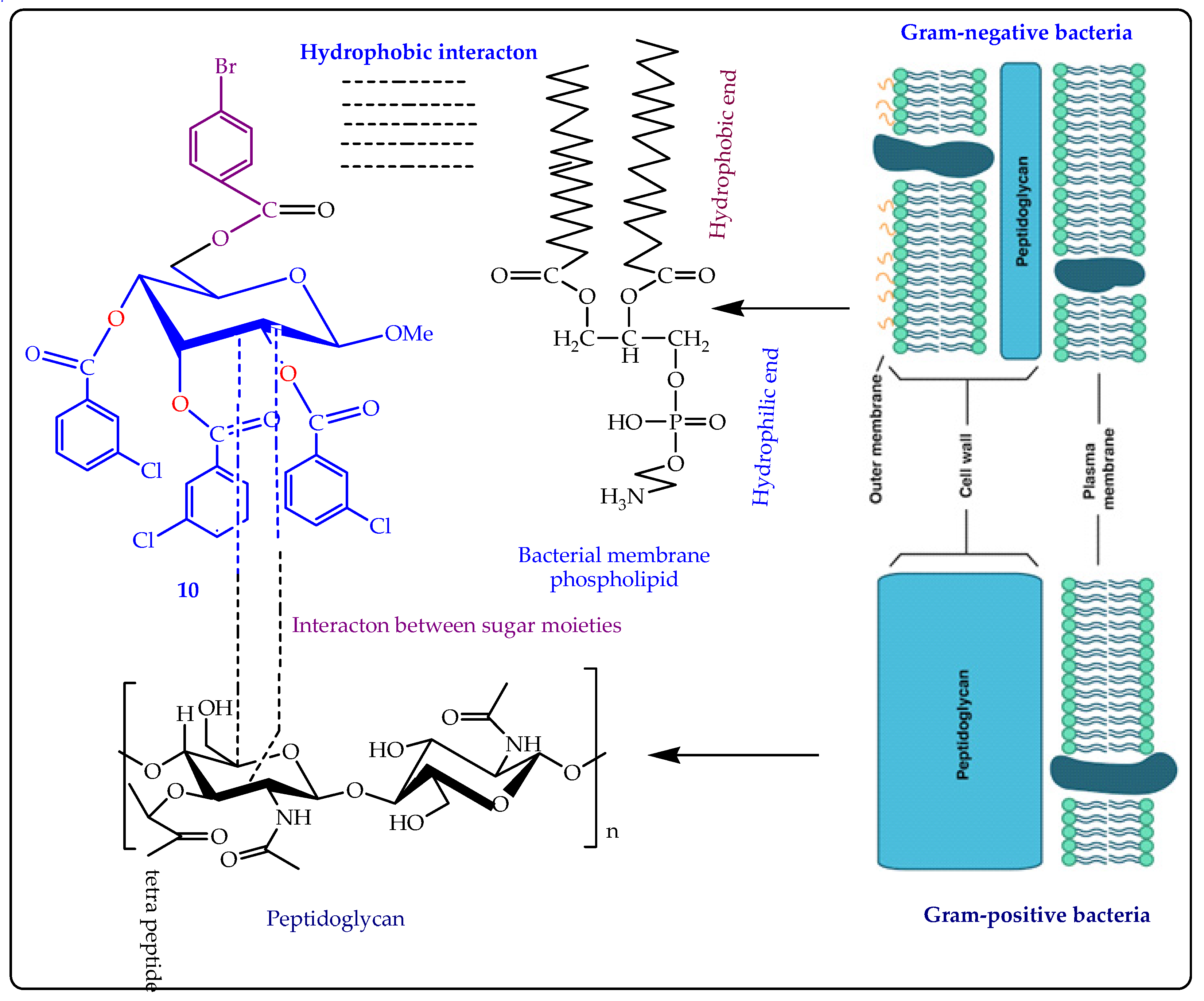 Molecules 28 00219 g003 Molecules 28 00219 g003