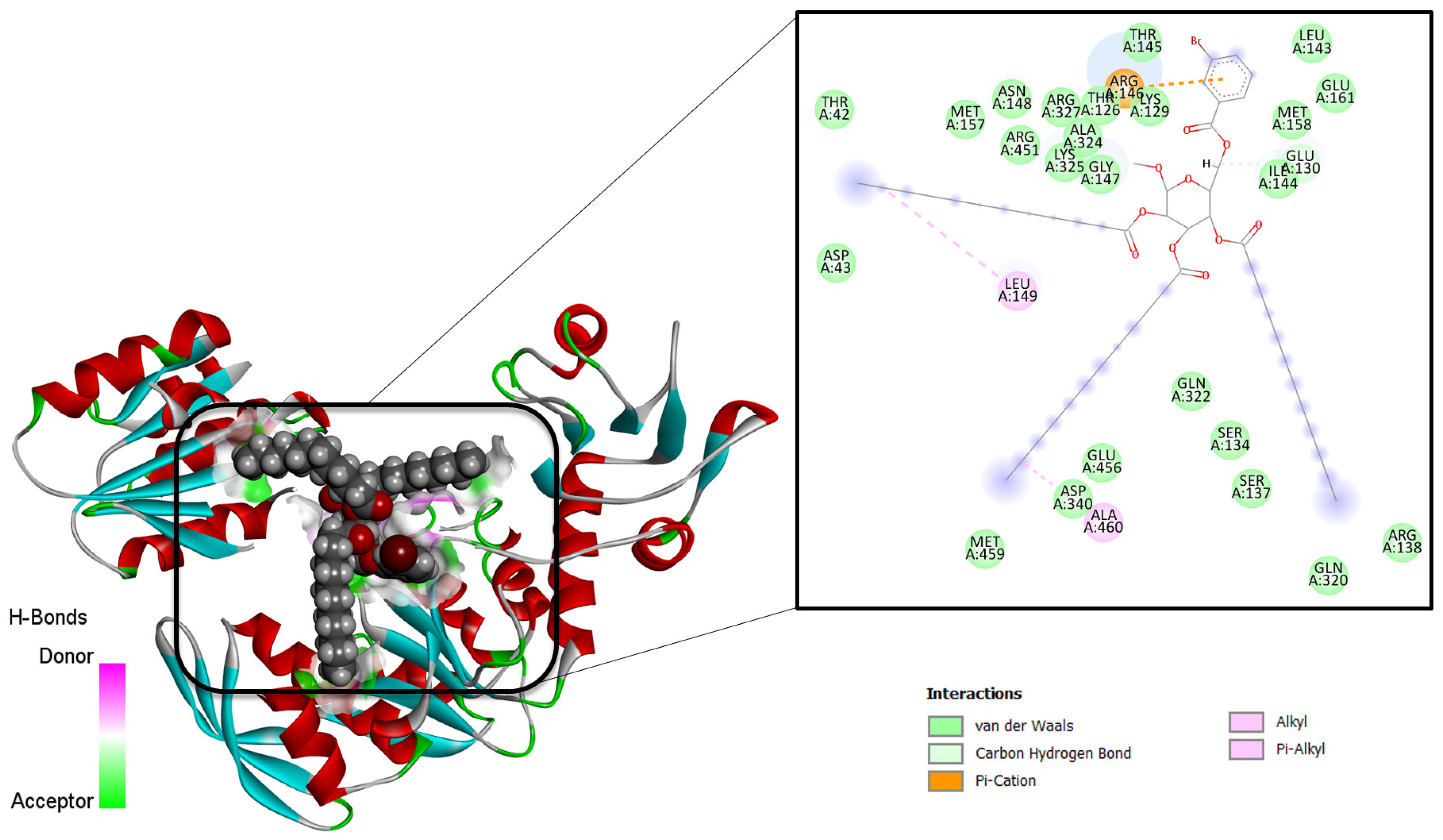 Molecules 28 00219 g006 Molecules 28 00219 g006
