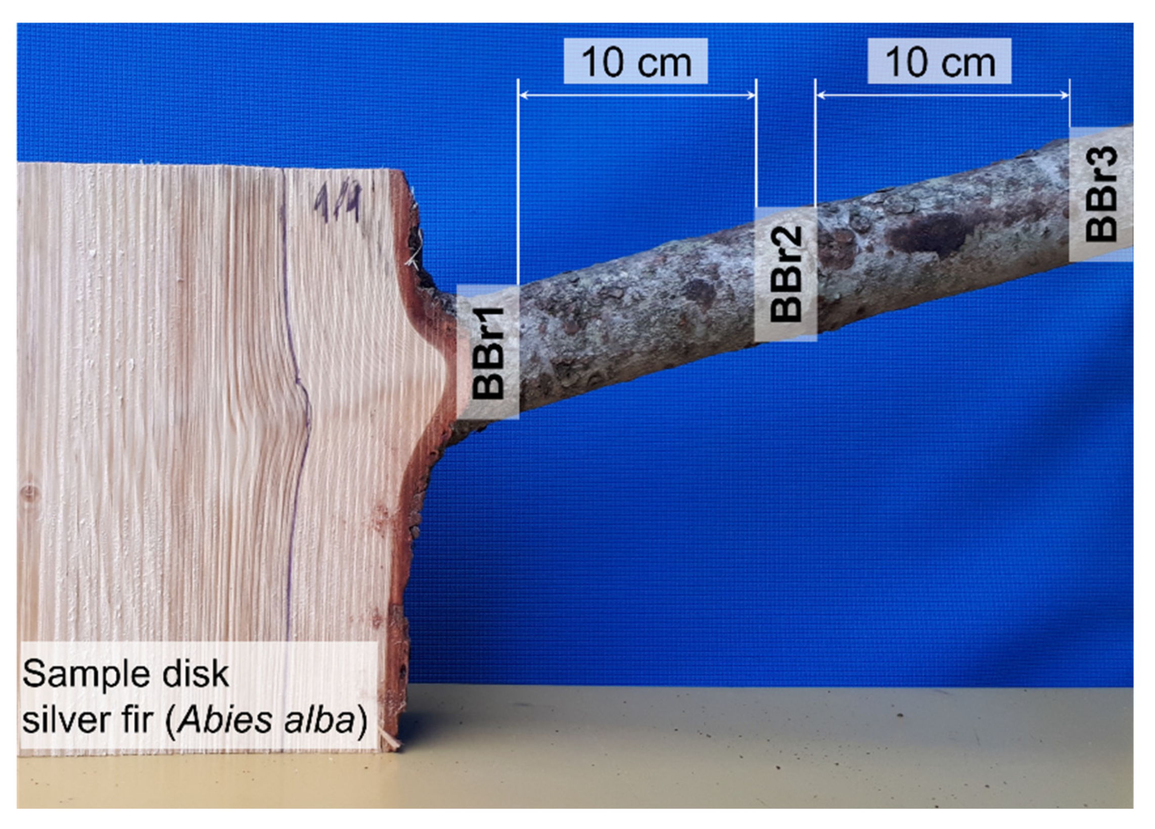 Molecules 28 00225 g006