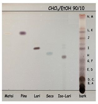Molecules 28 00225 i001