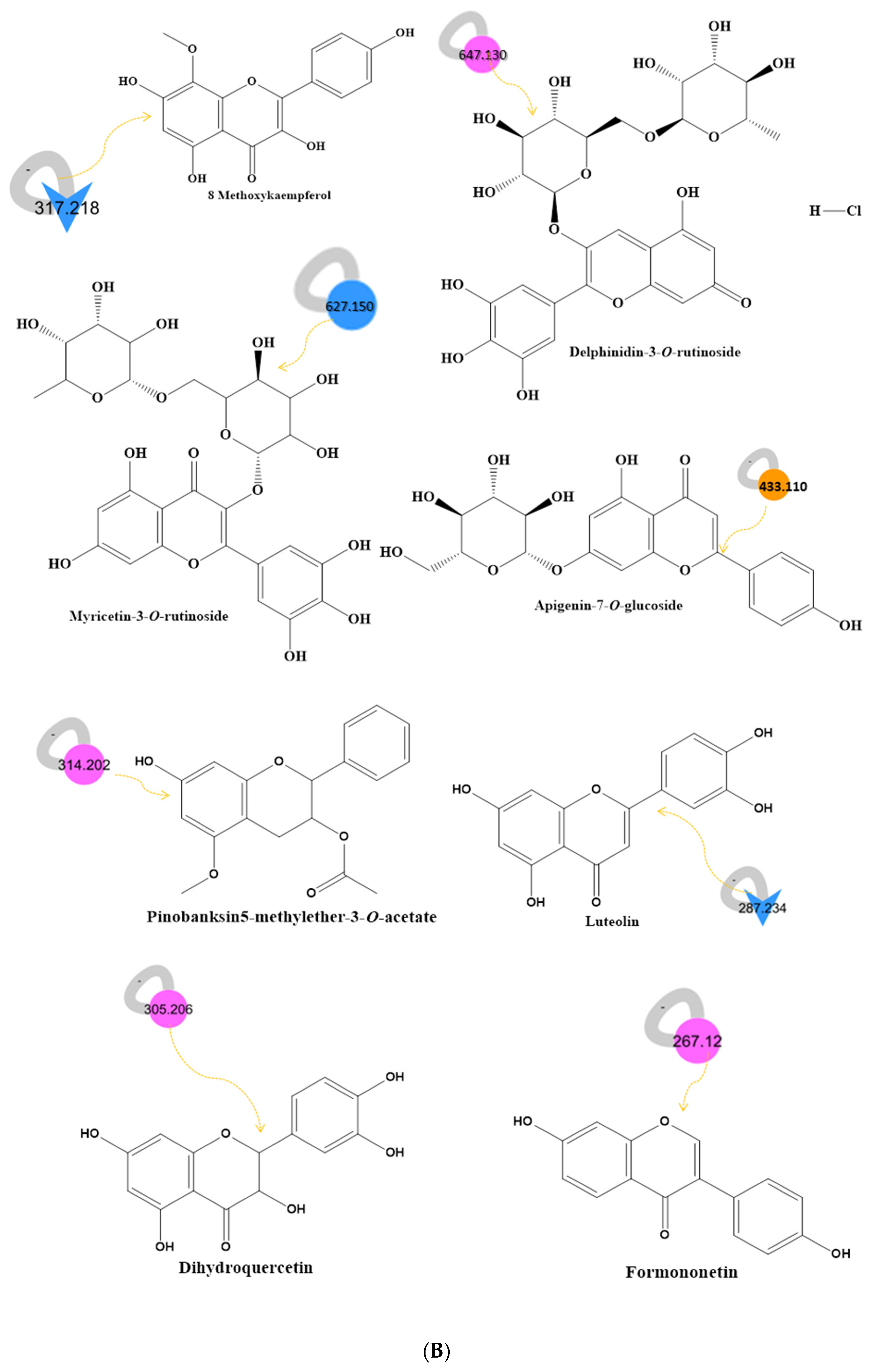 Molecules 28 00227 g001c