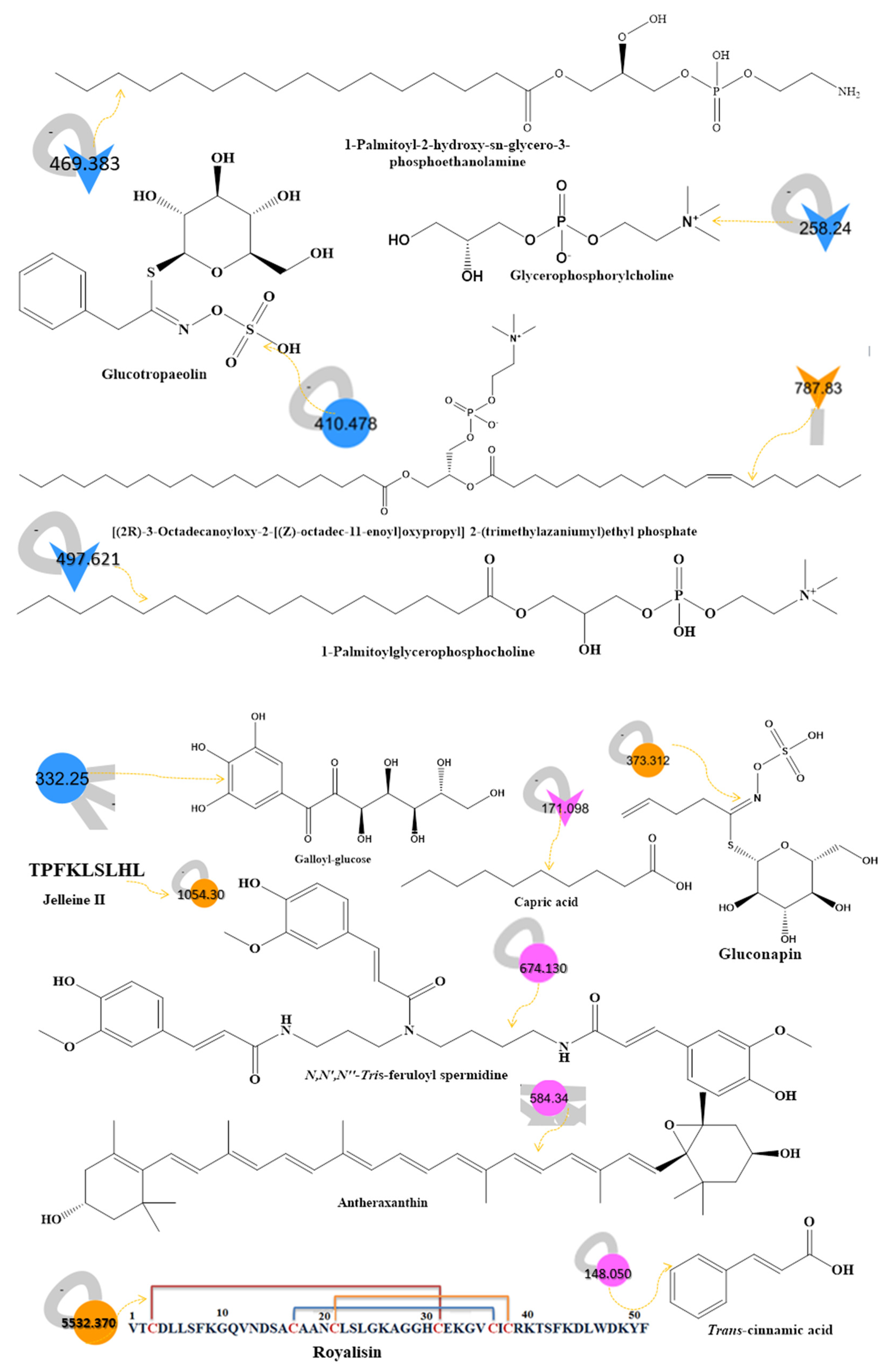 Molecules 28 00227 g001e