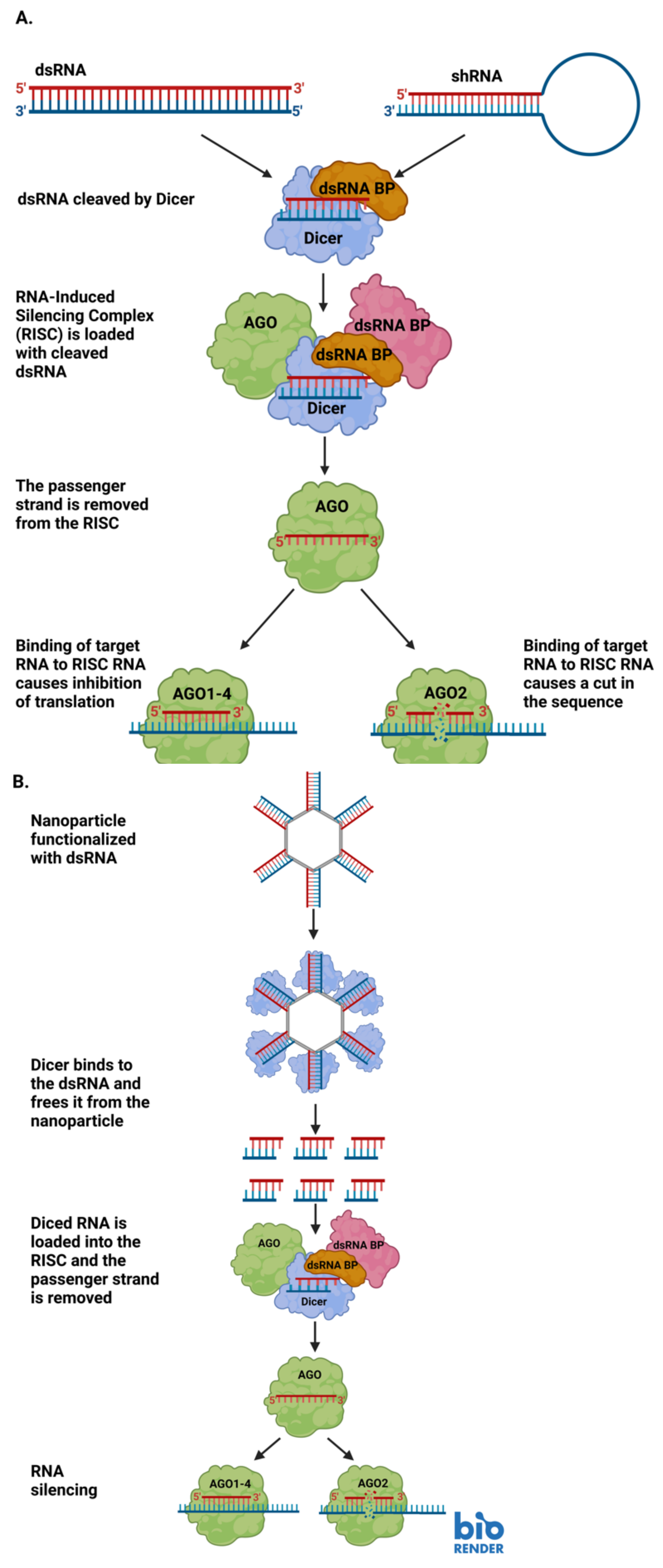 Molecules 28 00228 g001 Molecules 28 00228 g001