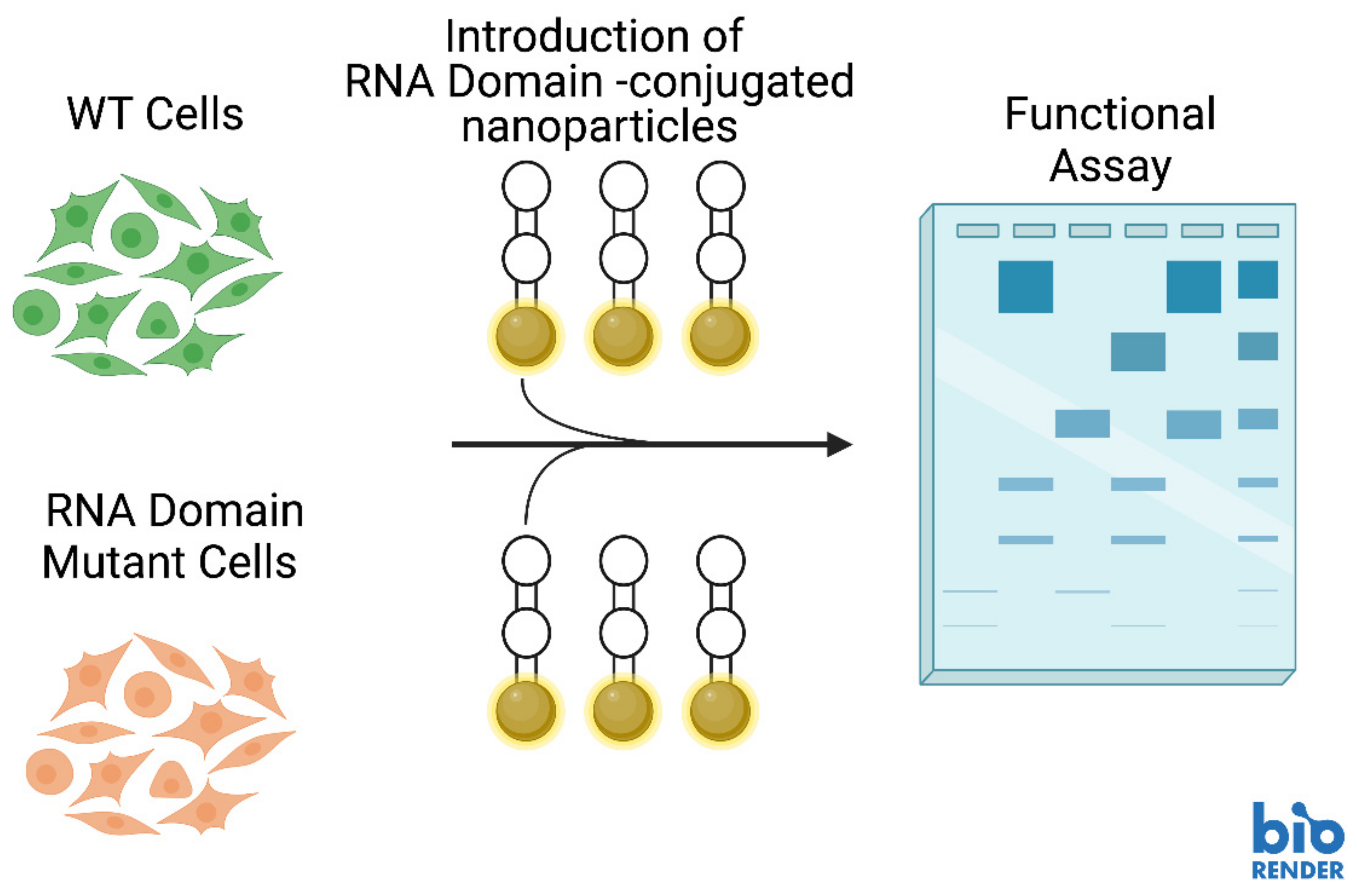 Molecules 28 00228 g003 Molecules 28 00228 g003