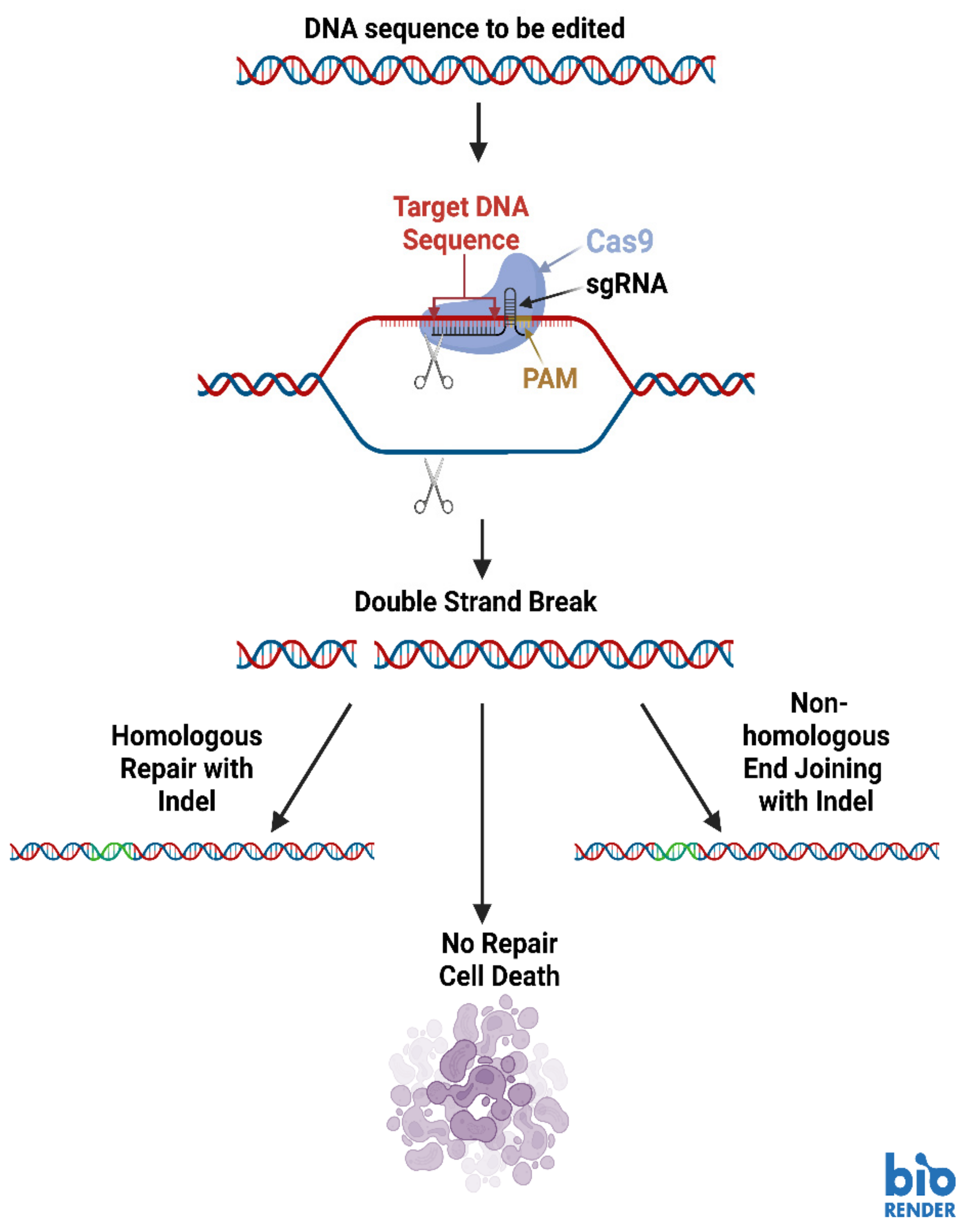 Molecules 28 00228 g004 Molecules 28 00228 g004