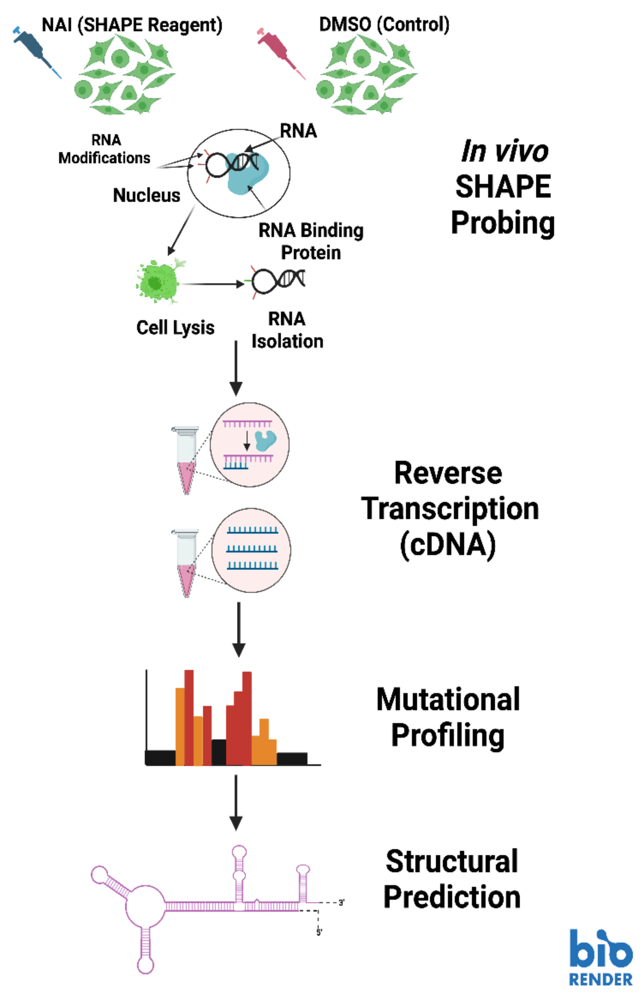 Molecules 28 00228 g005 Molecules 28 00228 g005
