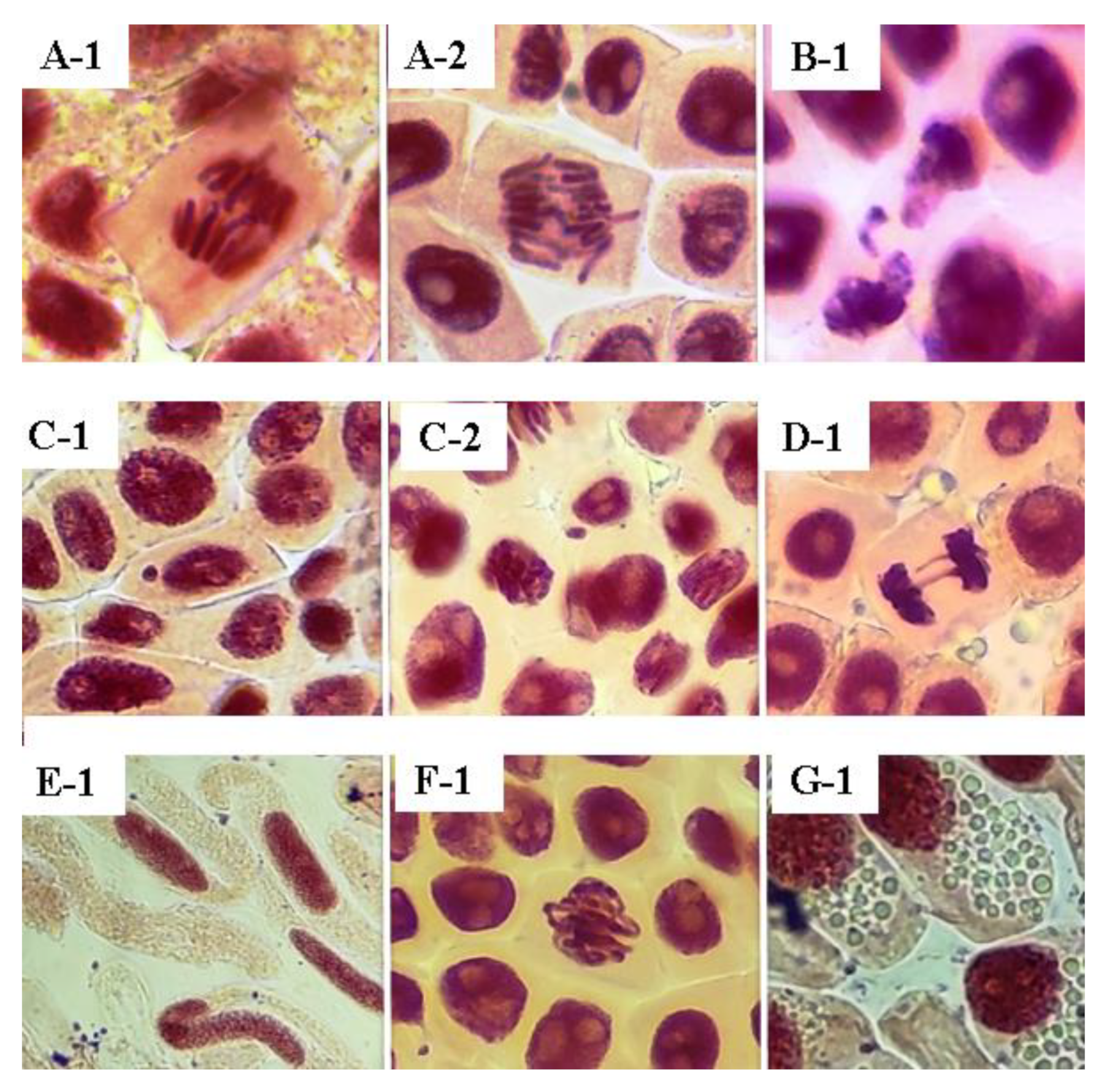 Molecules 28 00231 g005