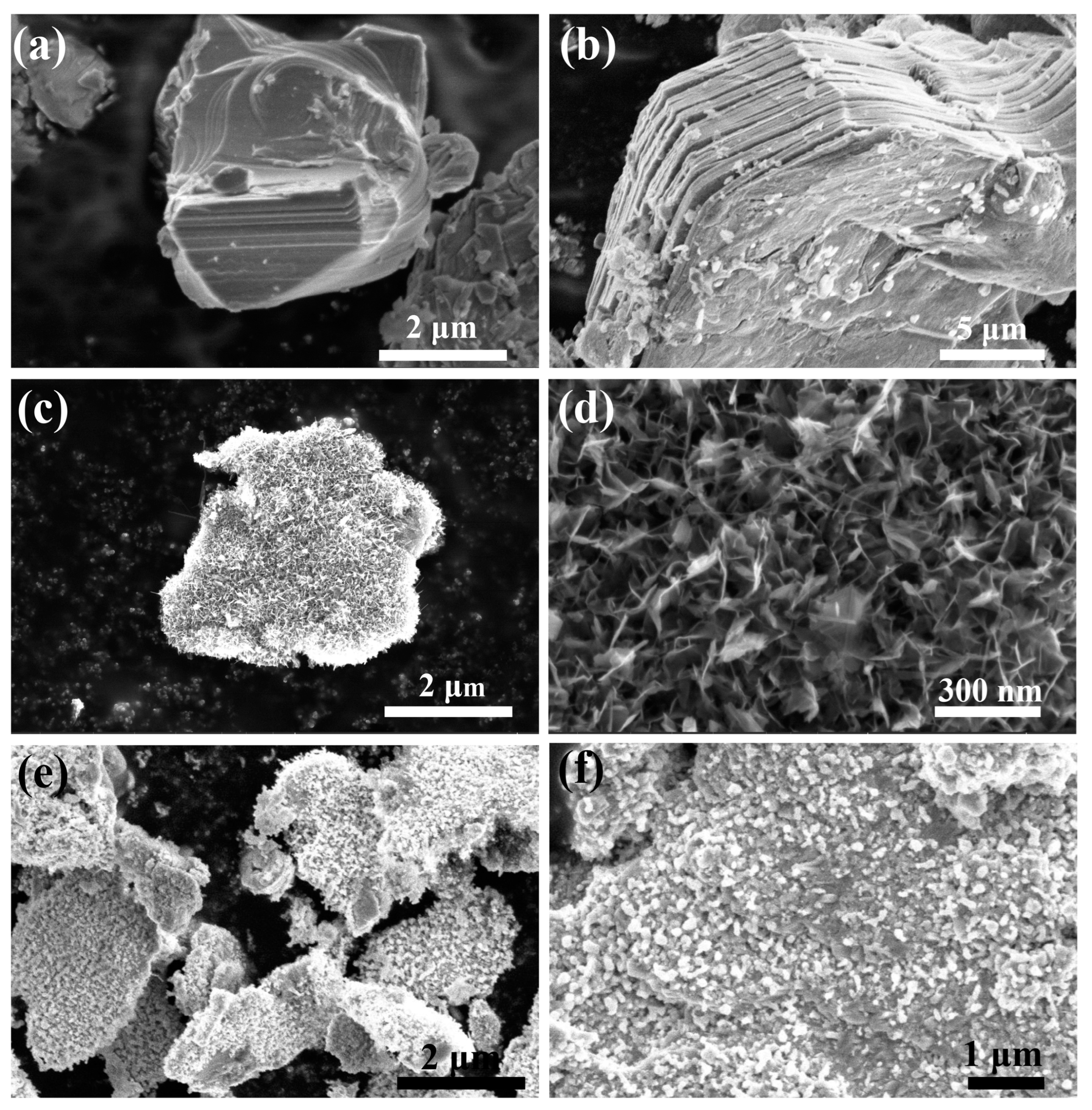 Molecules 28 00233 g002 Molecules 28 00233 g002