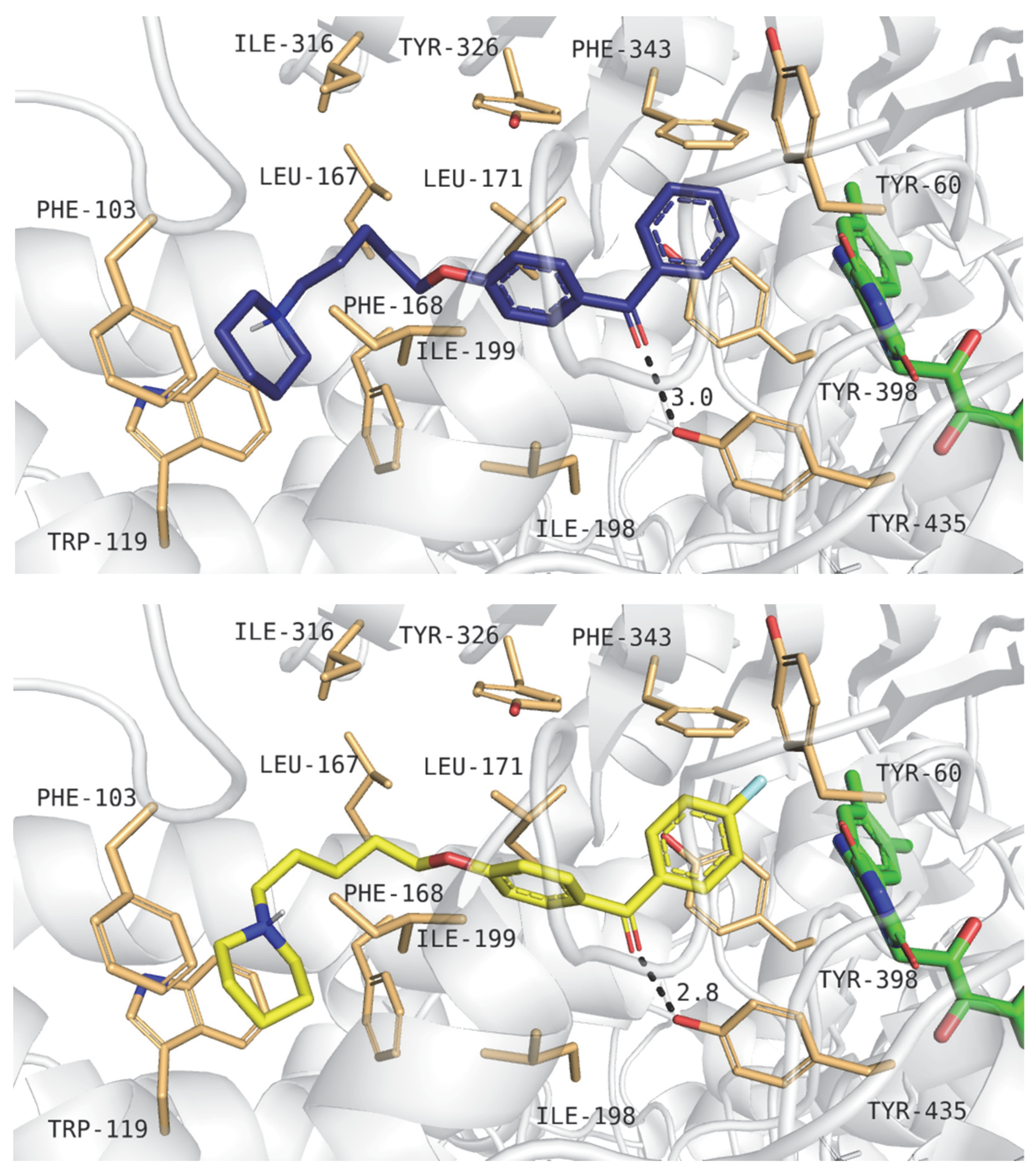 Molecules 28 00238 g011