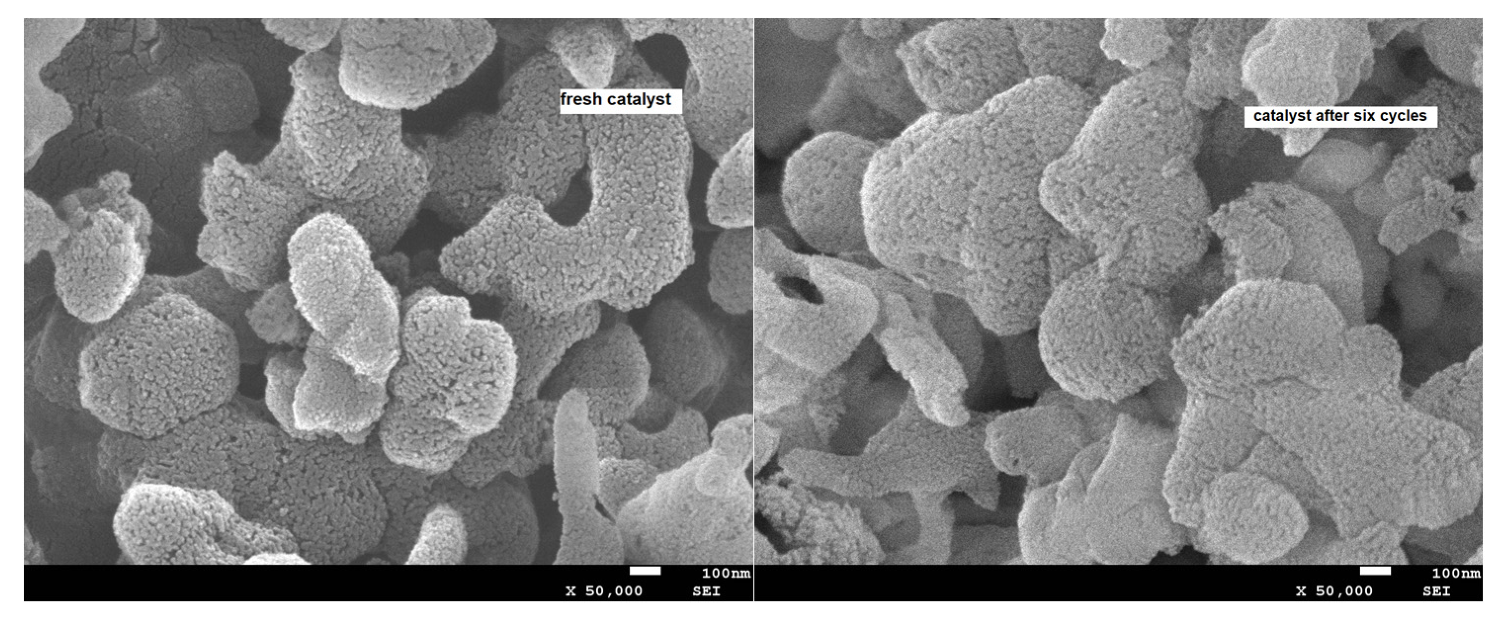 Molecules 28 00242 g006