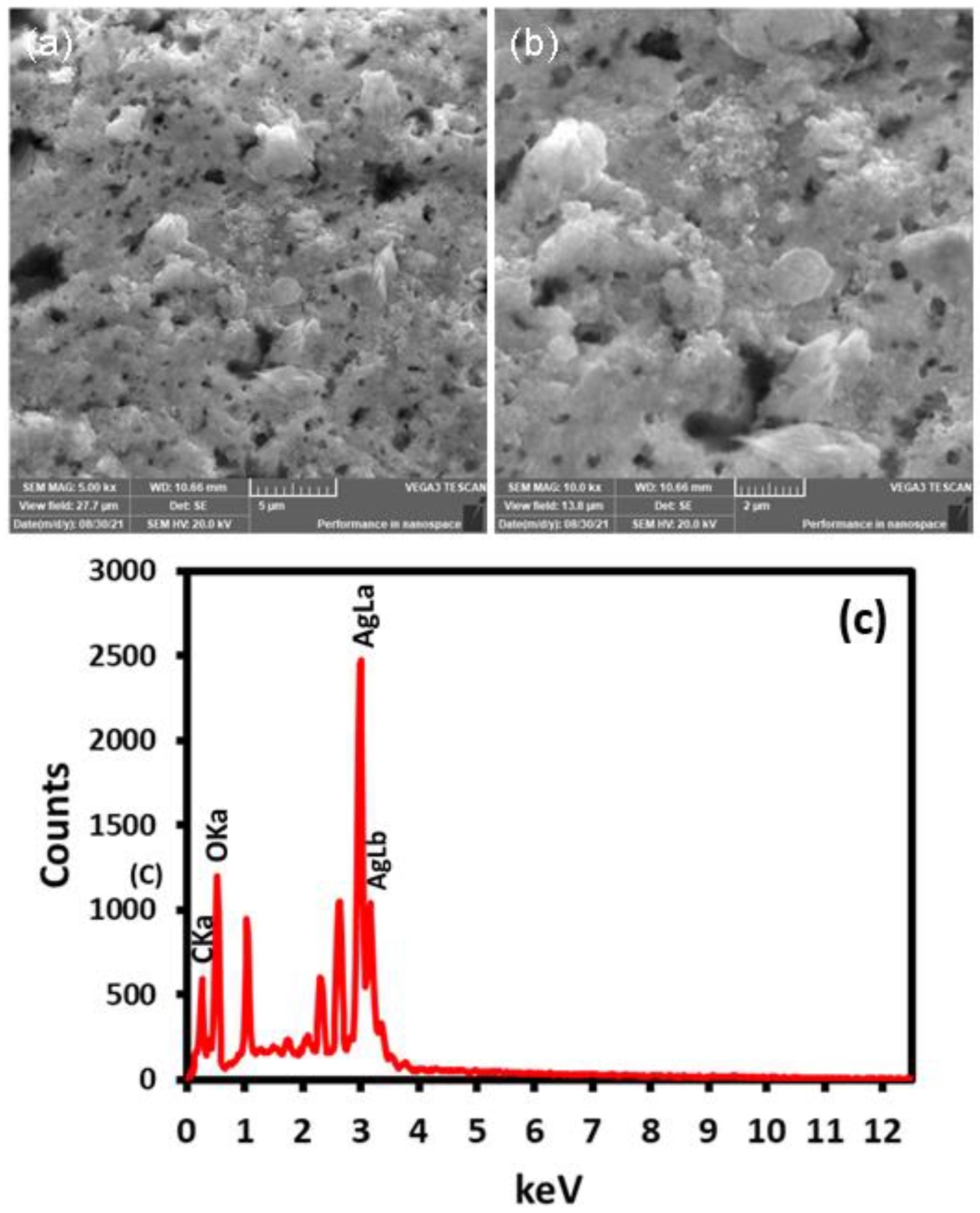 Molecules 28 00246 g004