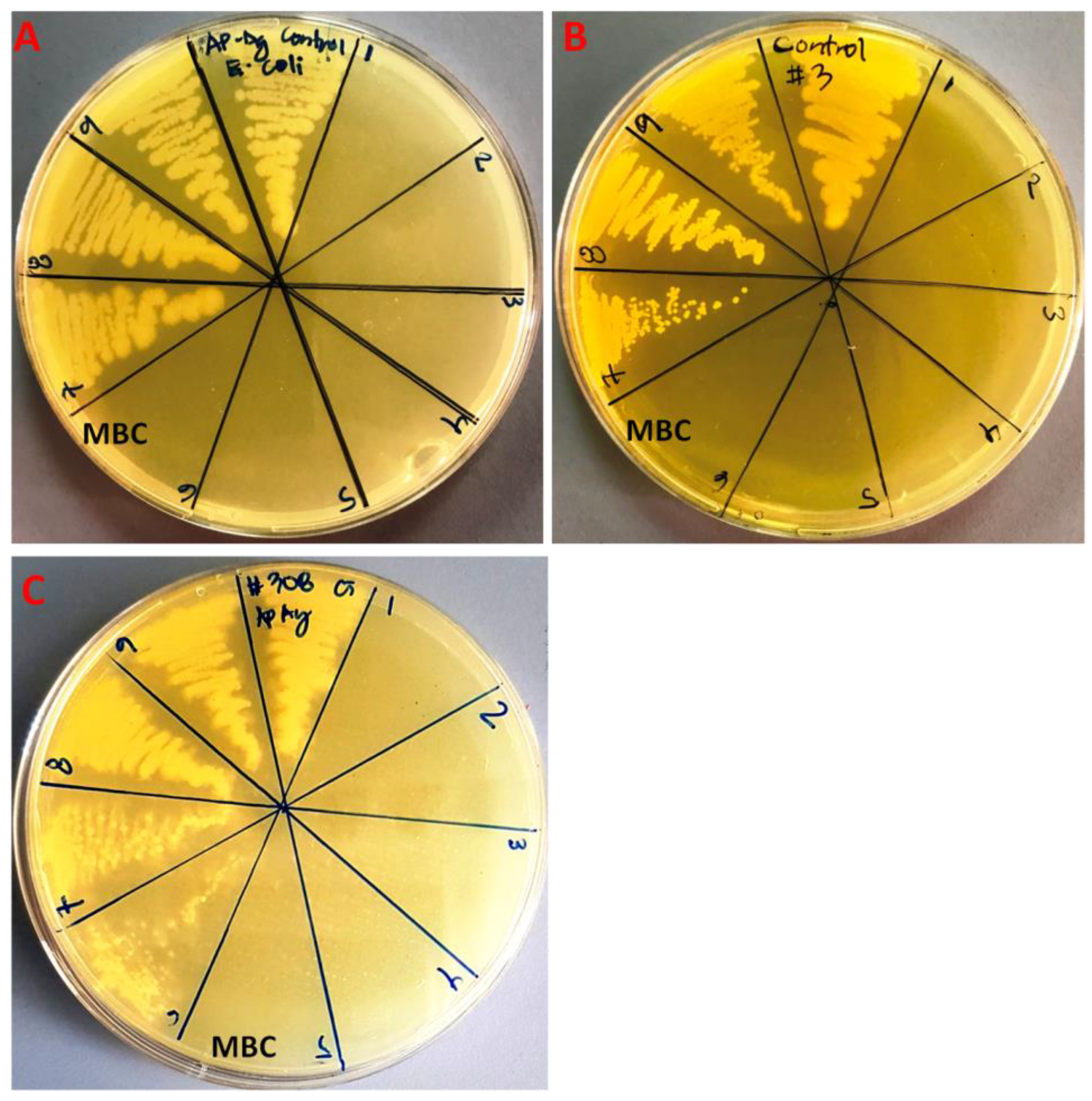 Molecules 28 00246 g006