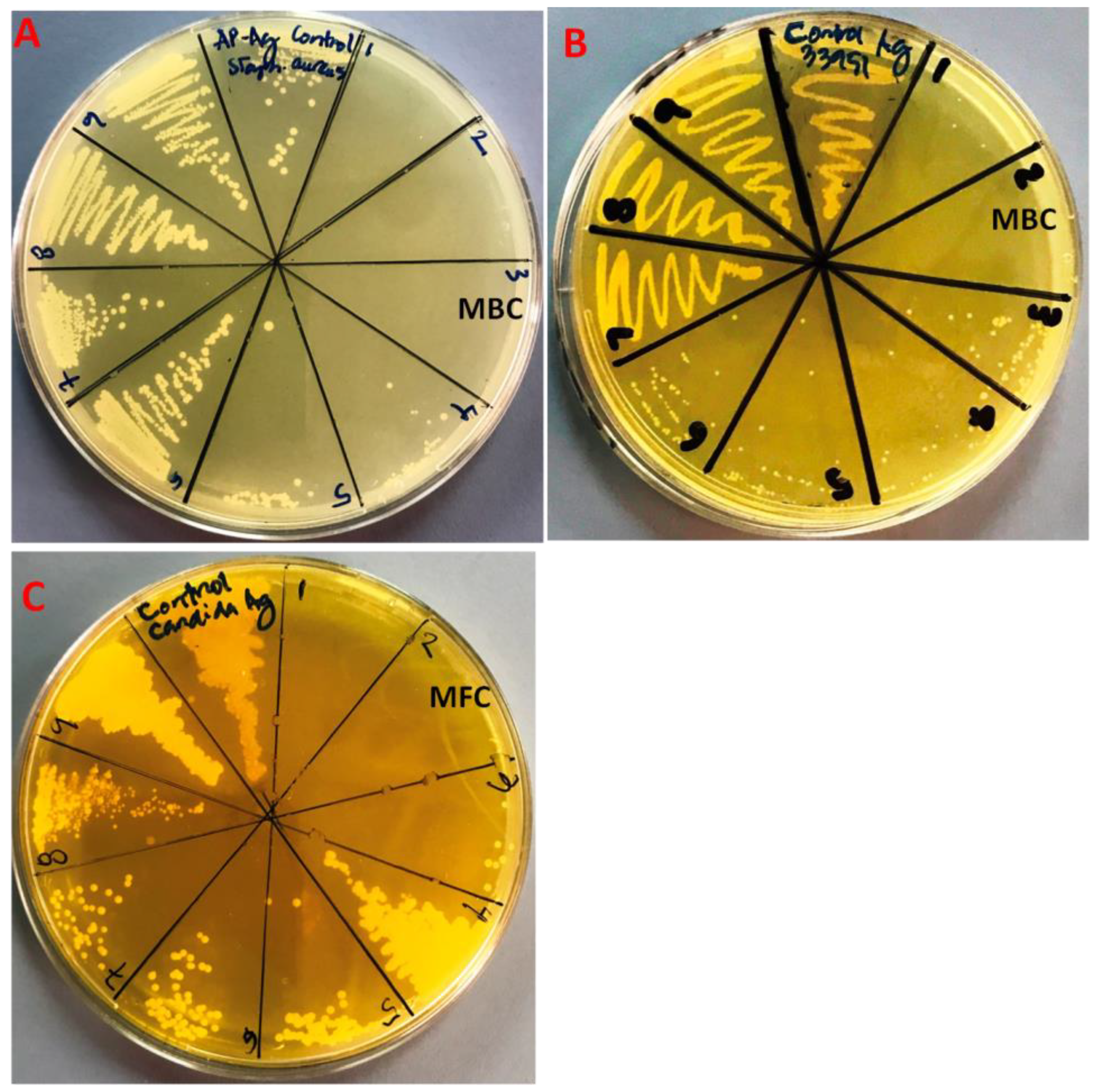 Molecules 28 00246 g007