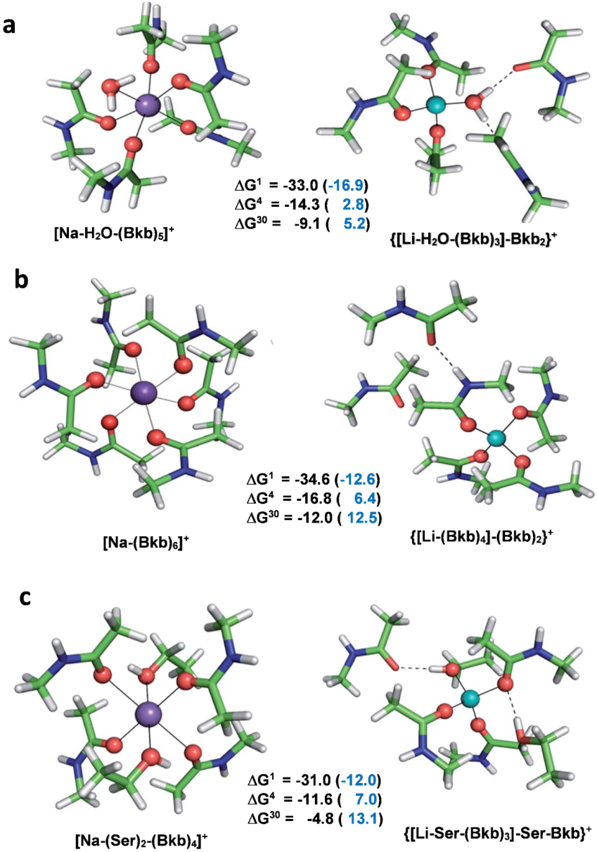 Molecules 28 00249 g004
