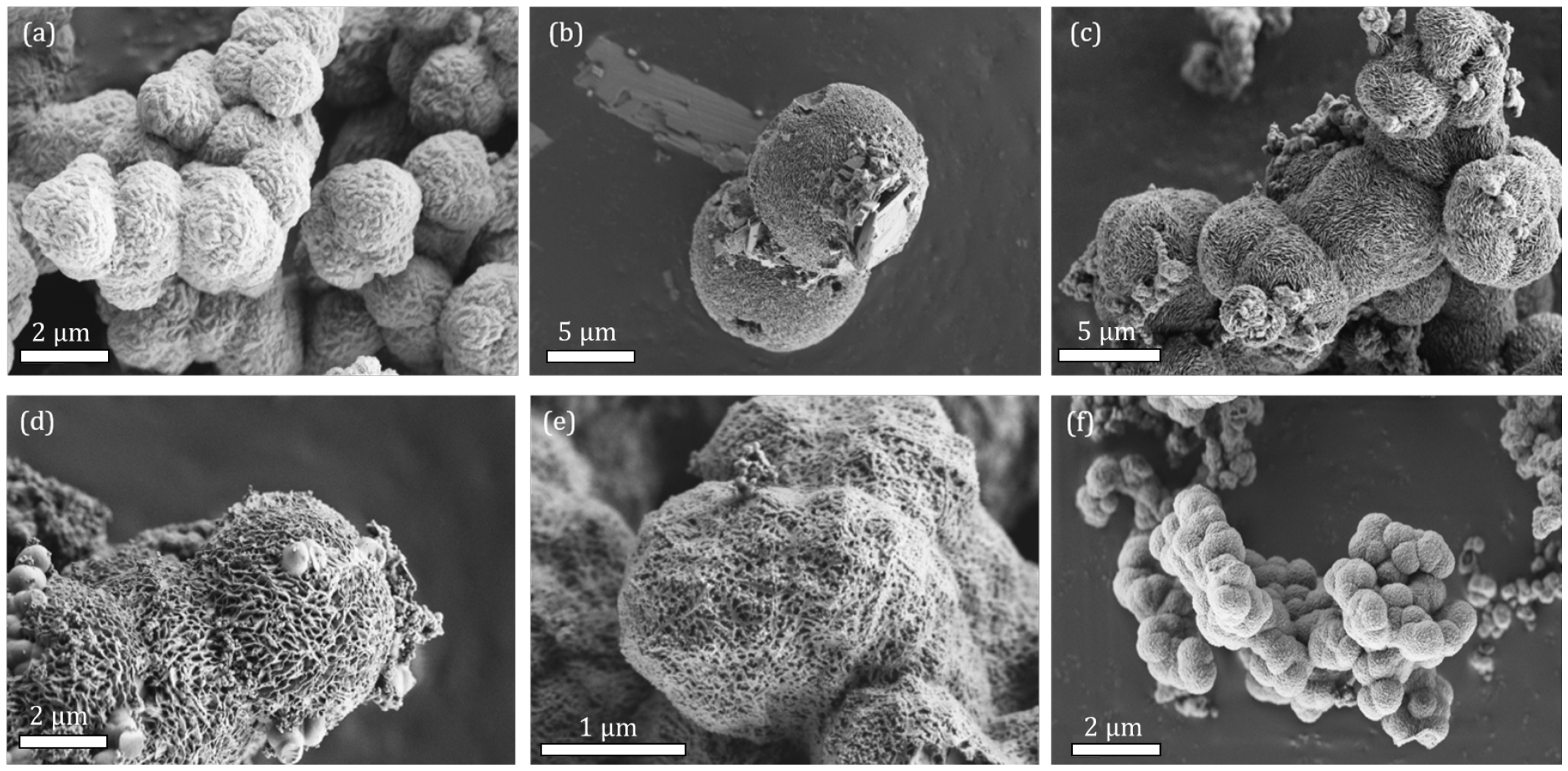 Molecules 28 00253 g002 Molecules 28 00253 g002