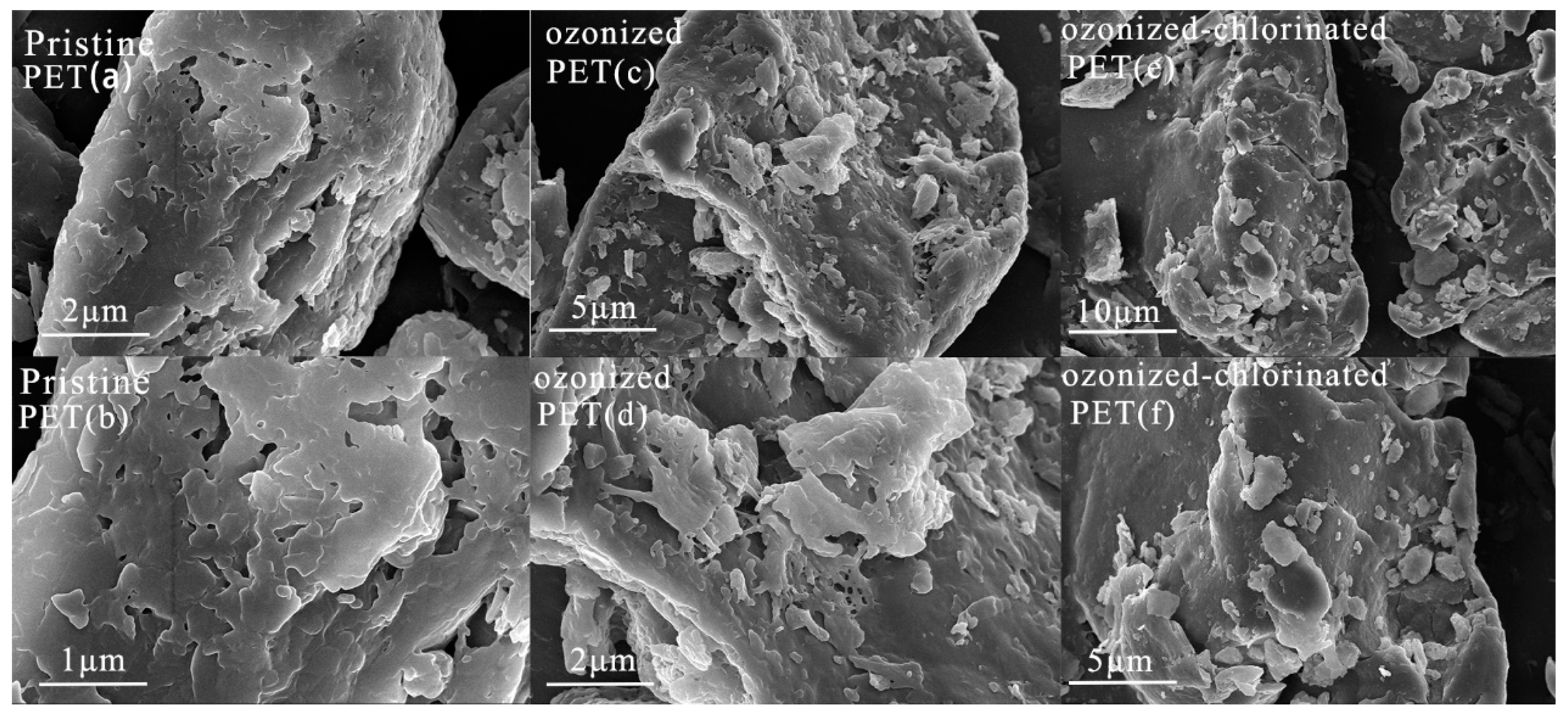 Molecules 28 00259 g001 Molecules 28 00259 g001