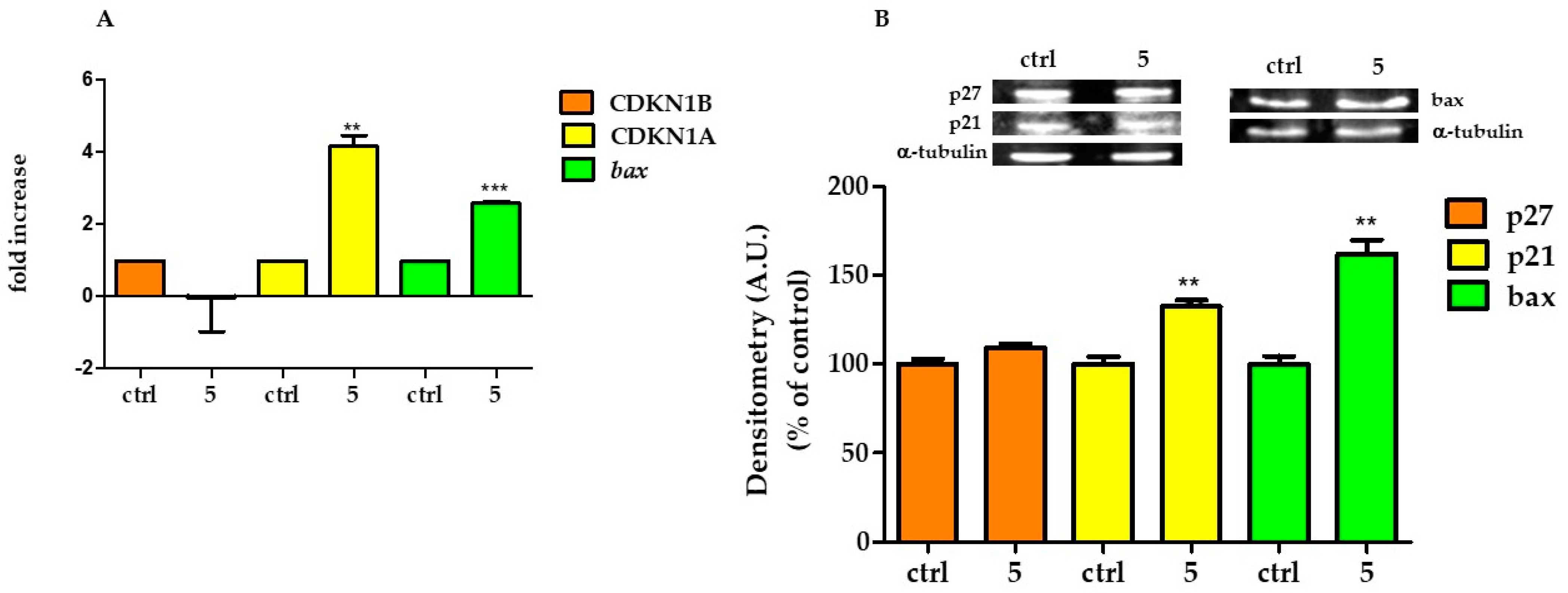 Molecules 28 00265 g006 Molecules 28 00265 g006