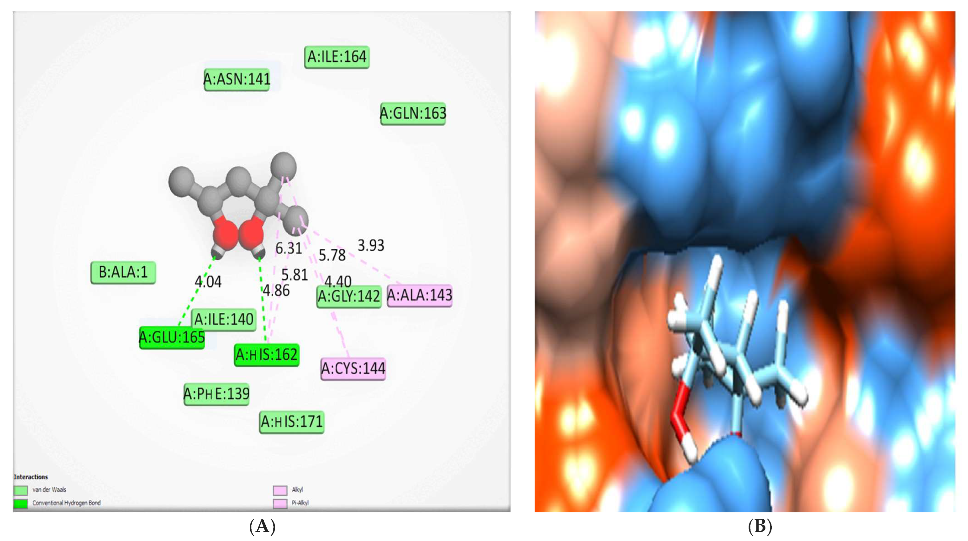 Molecules 28 00266 g011 Molecules 28 00266 g011