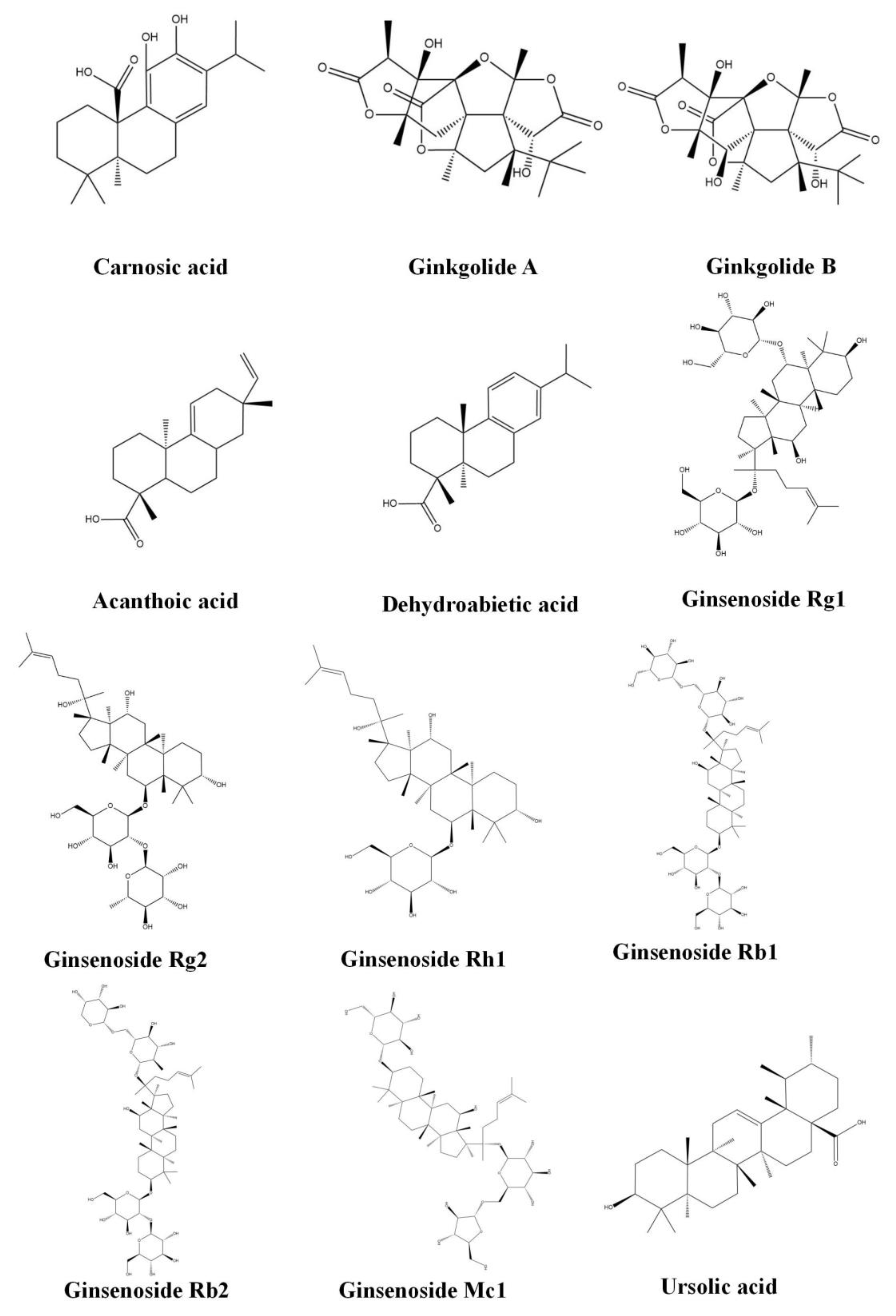 Molecules 28 00272 g002b Molecules 28 00272 g002b
