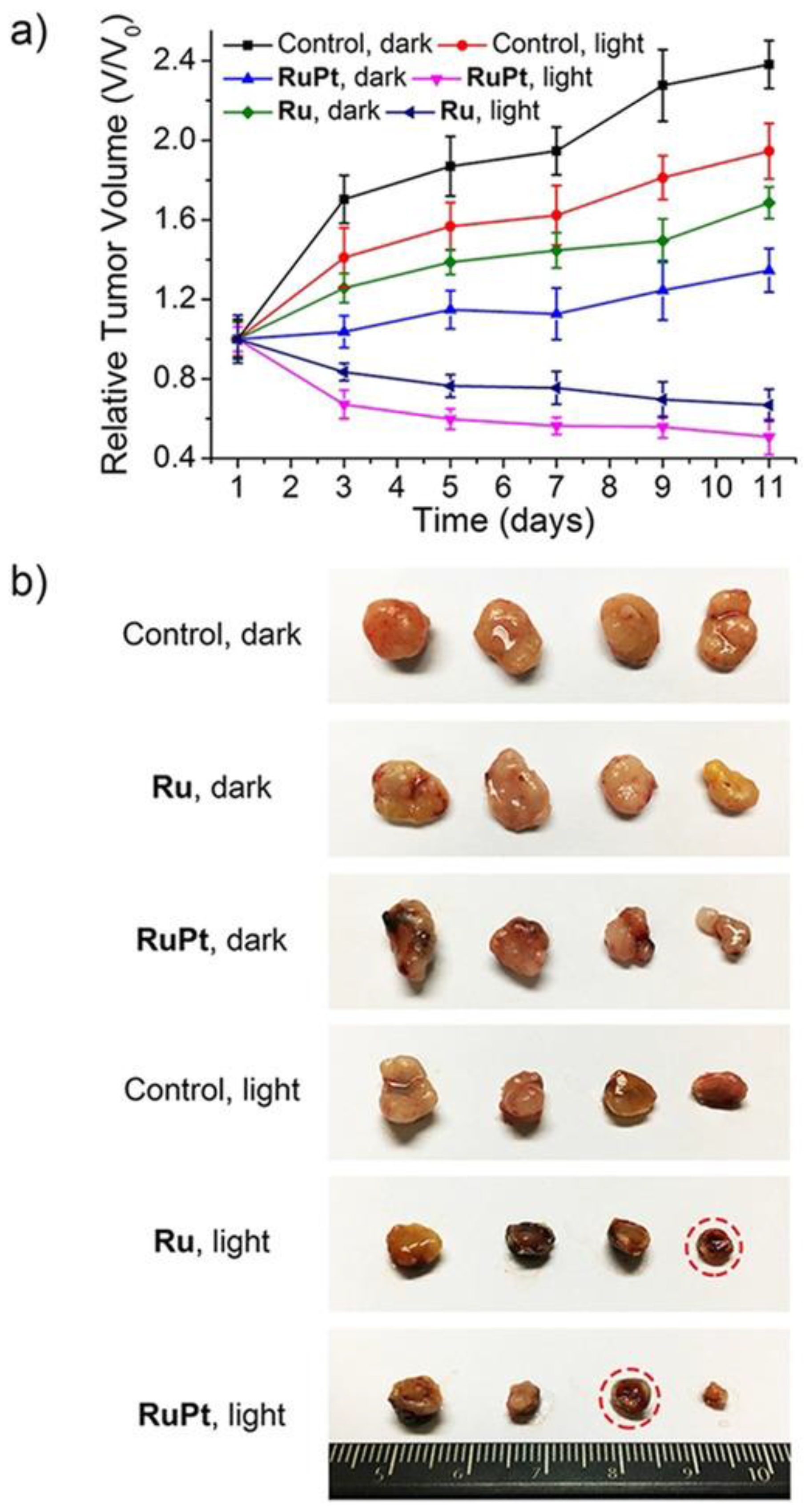 Molecules 28 00273 g004