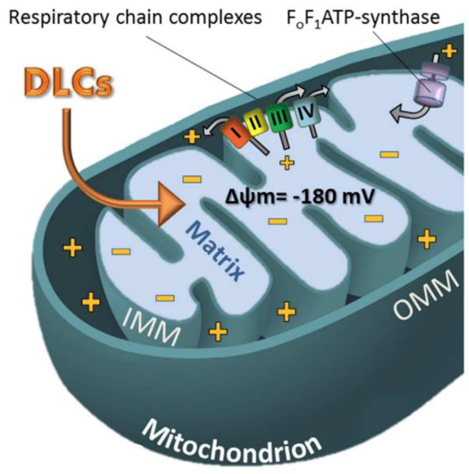 Molecules 28 00273 g019