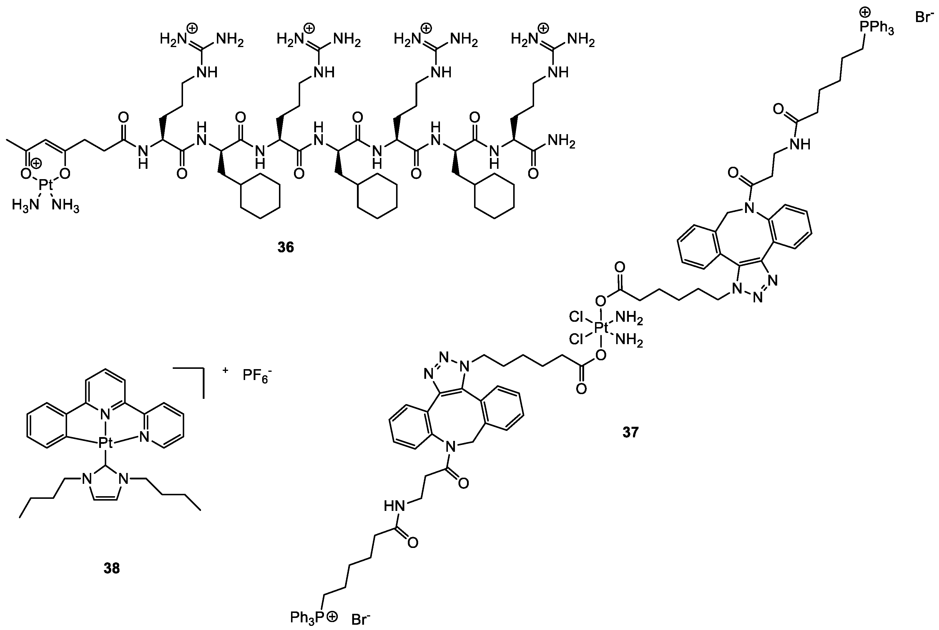 Molecules 28 00273 g020