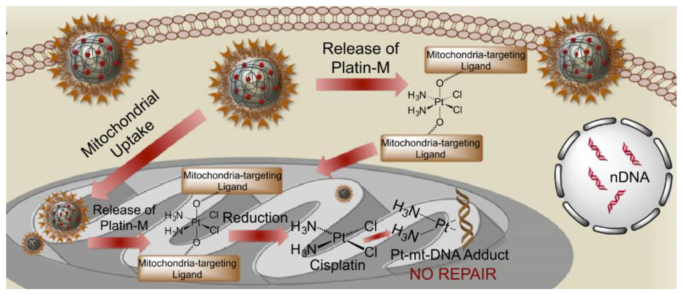 Molecules 28 00273 g021