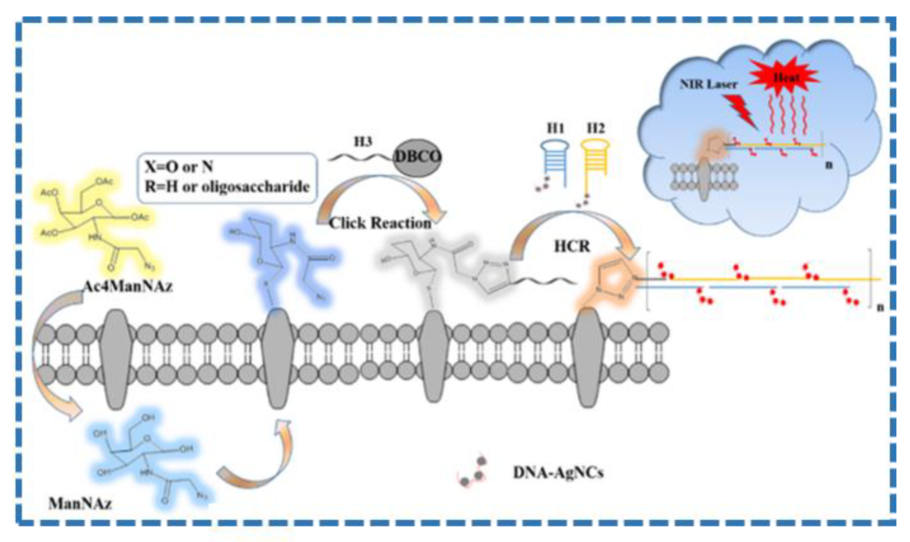 Molecules 28 00277 g005 Molecules 28 00277 g005