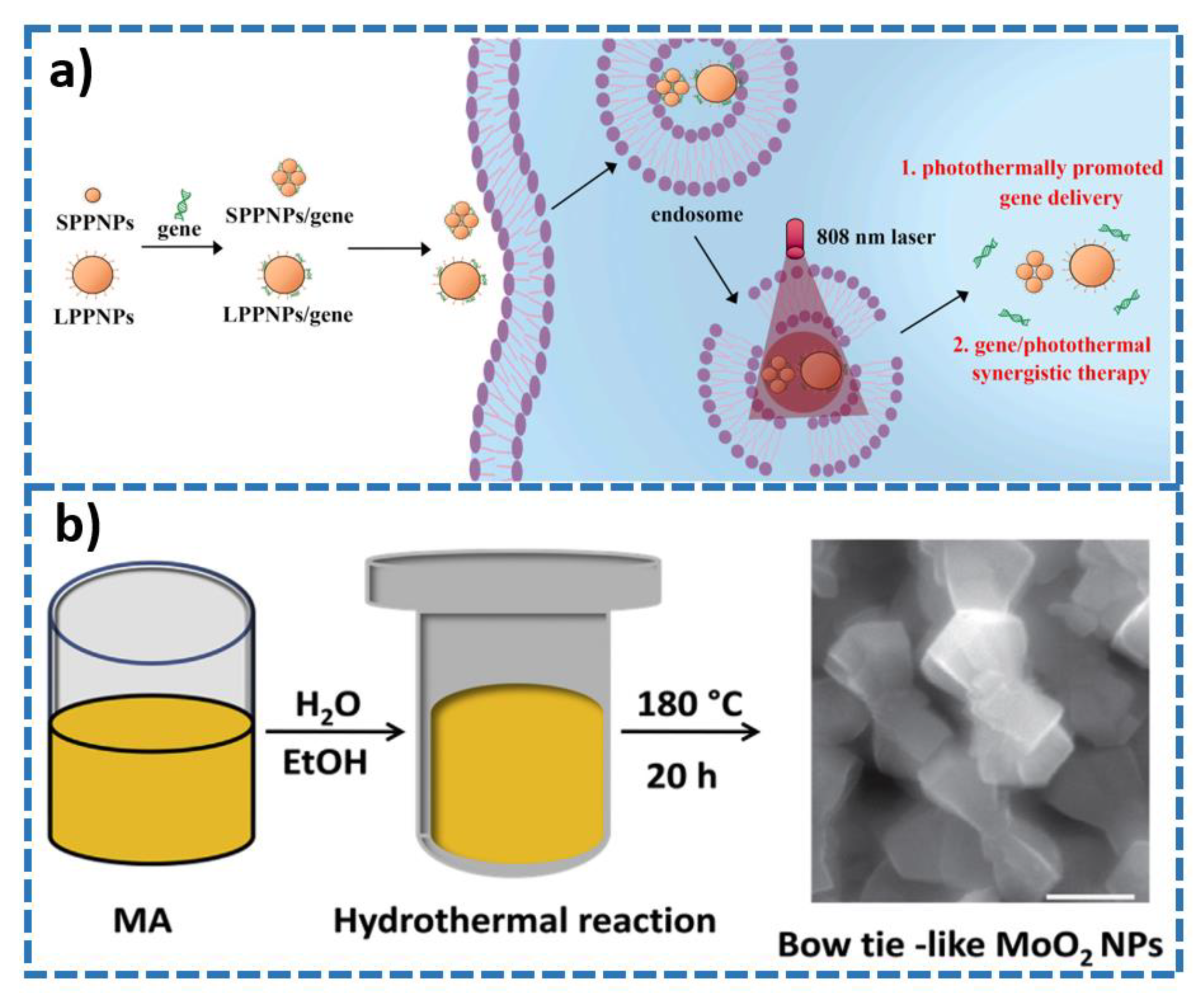 Molecules 28 00277 g007