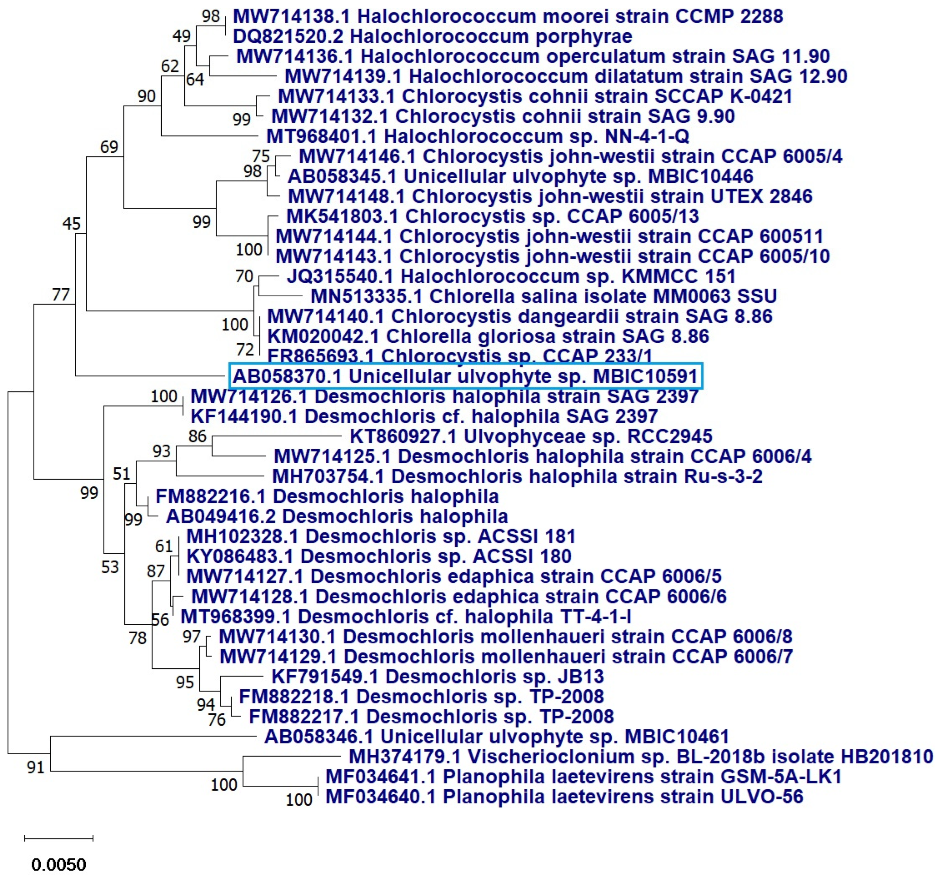 Molecules 28 00279 g003