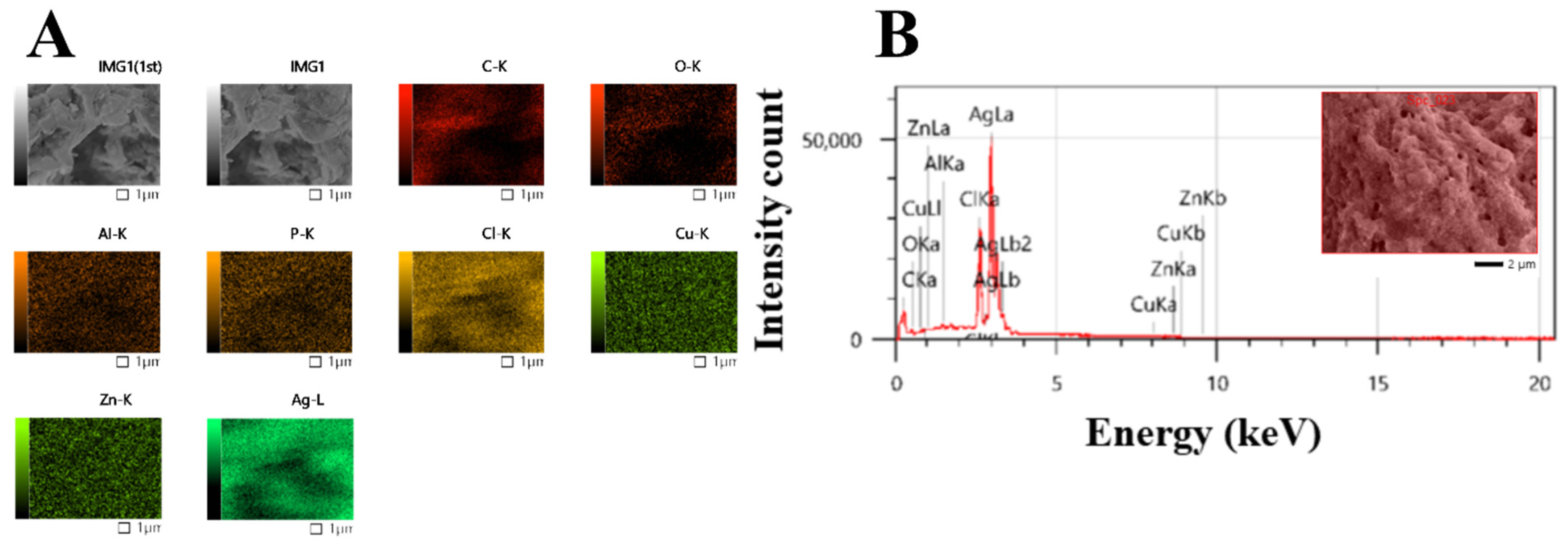 Molecules 28 00279 g007