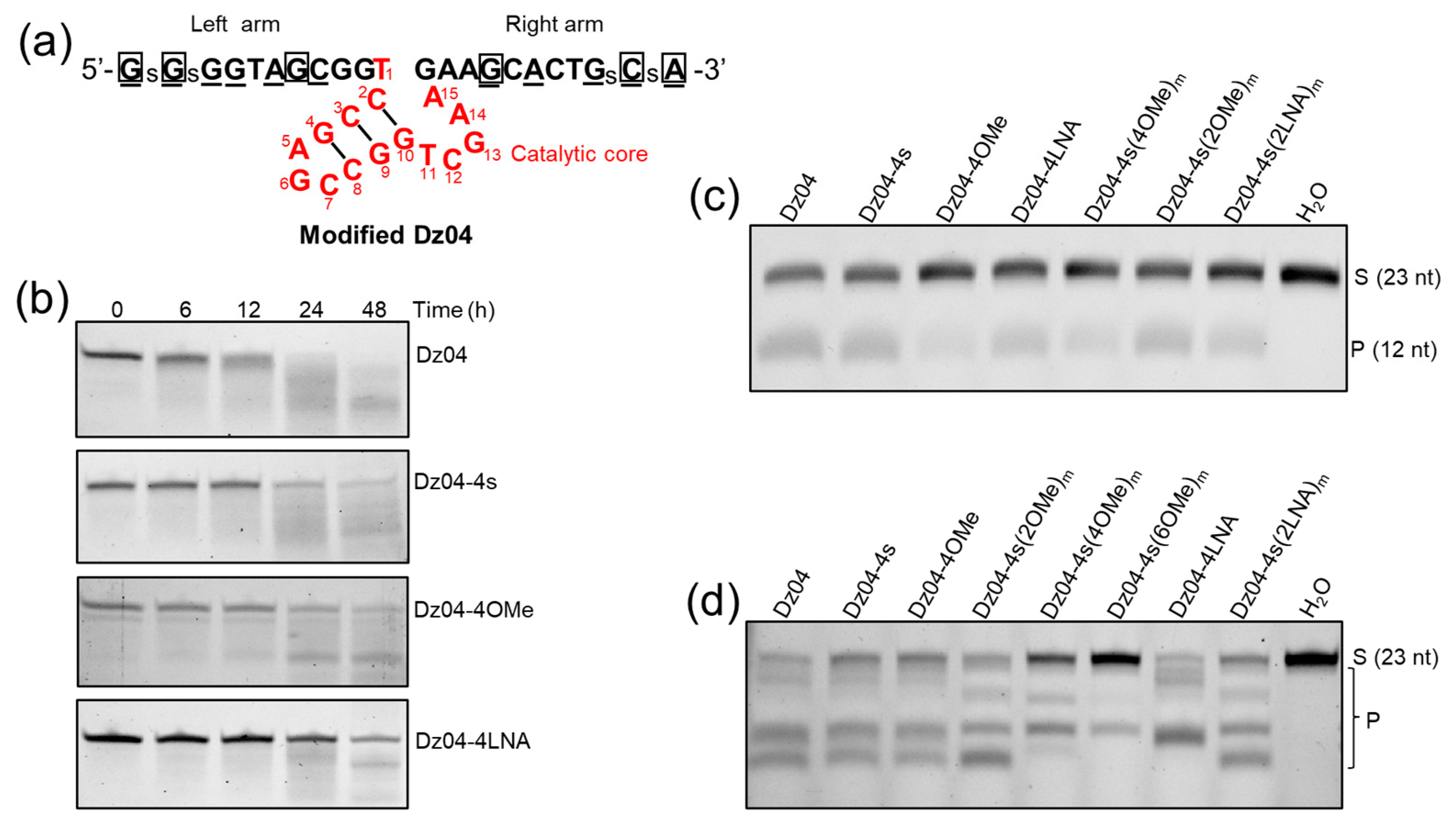Molecules 28 00286 g005 Molecules 28 00286 g005