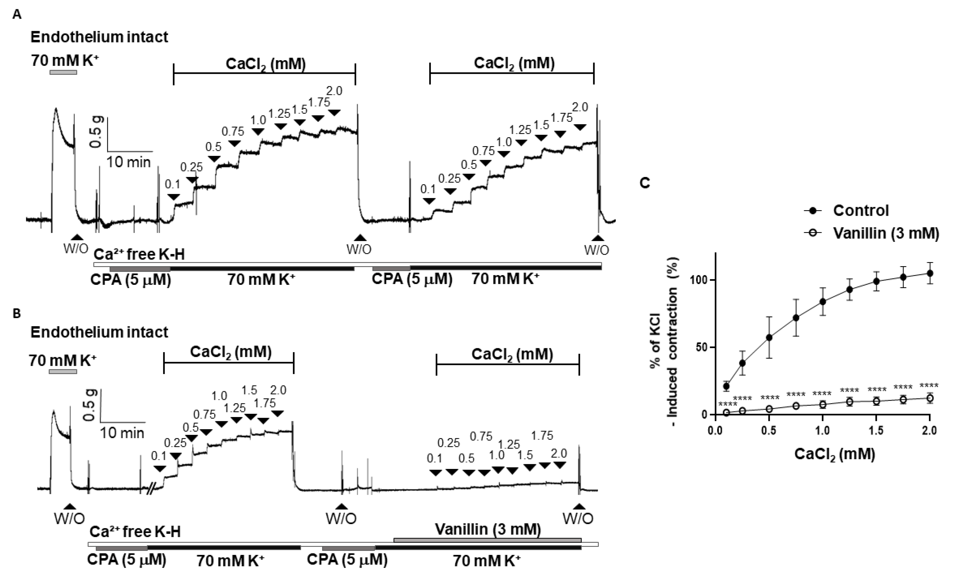 Molecules 28 00288 g005 Molecules 28 00288 g005