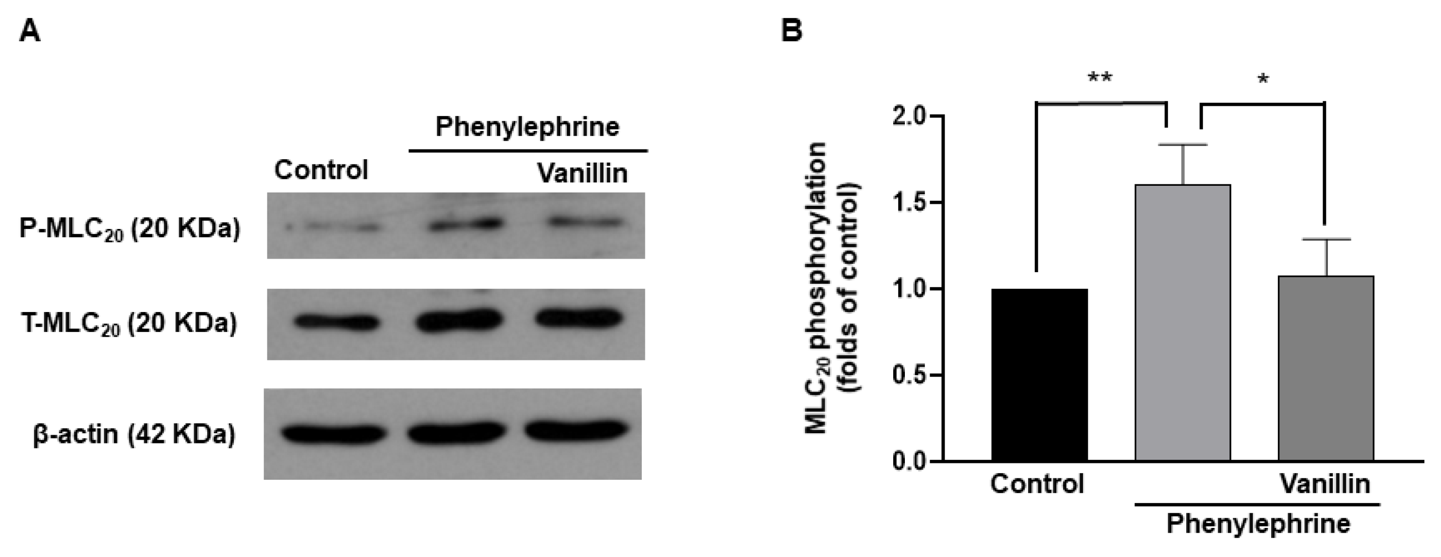Molecules 28 00288 g007 Molecules 28 00288 g007