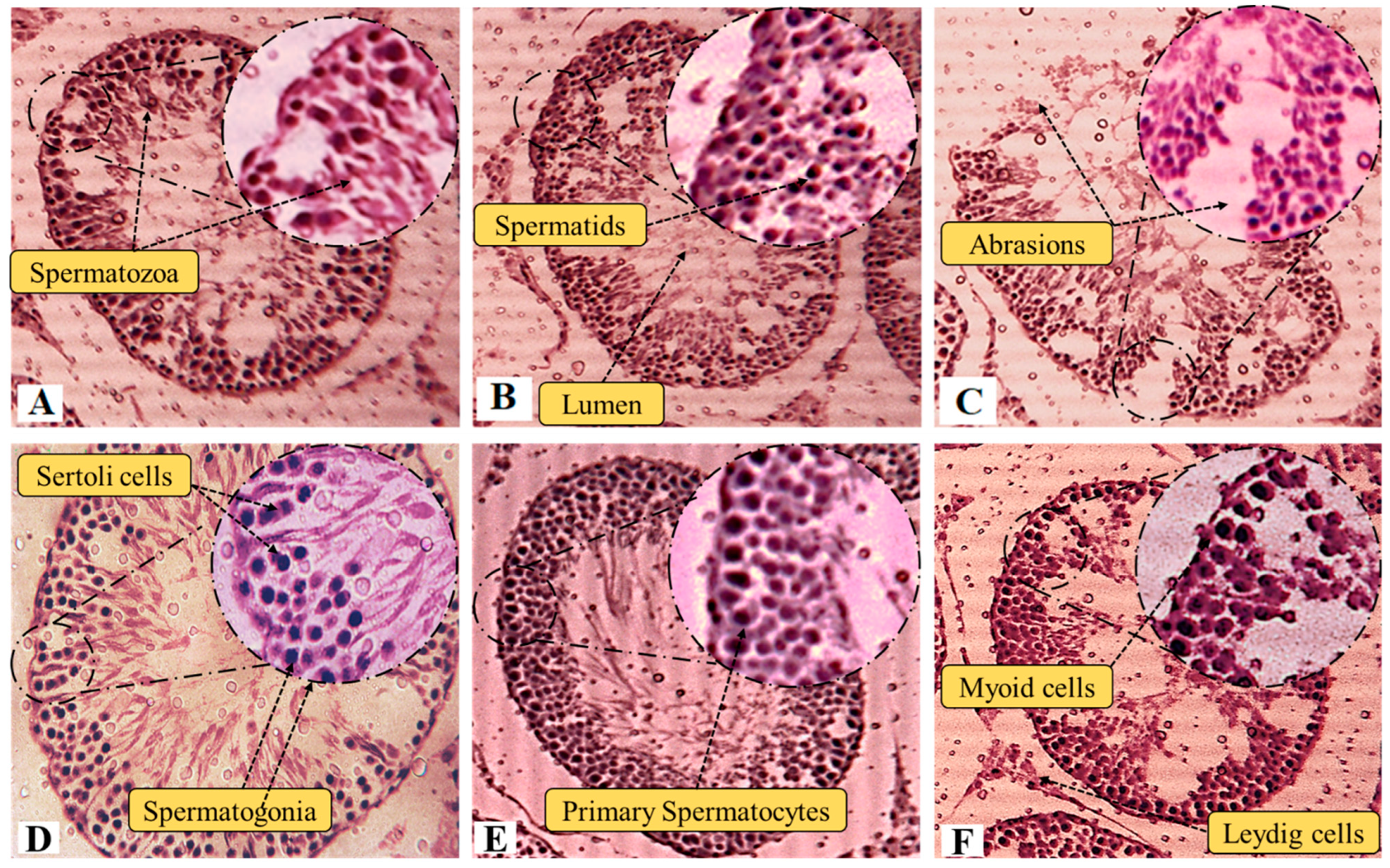 Molecules 28 00290 g005 Molecules 28 00290 g005