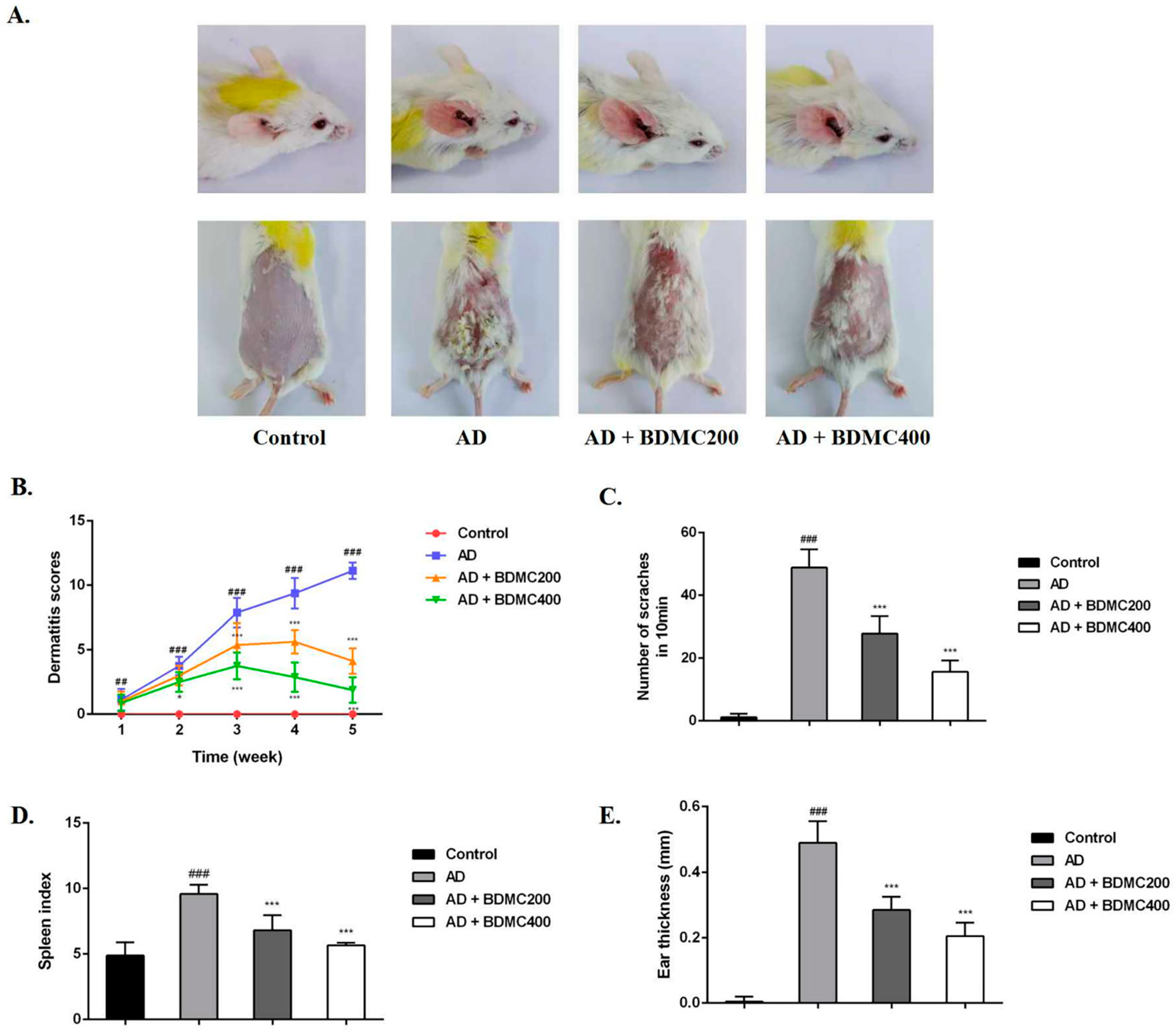 Molecules 28 00293 g002 Molecules 28 00293 g002
