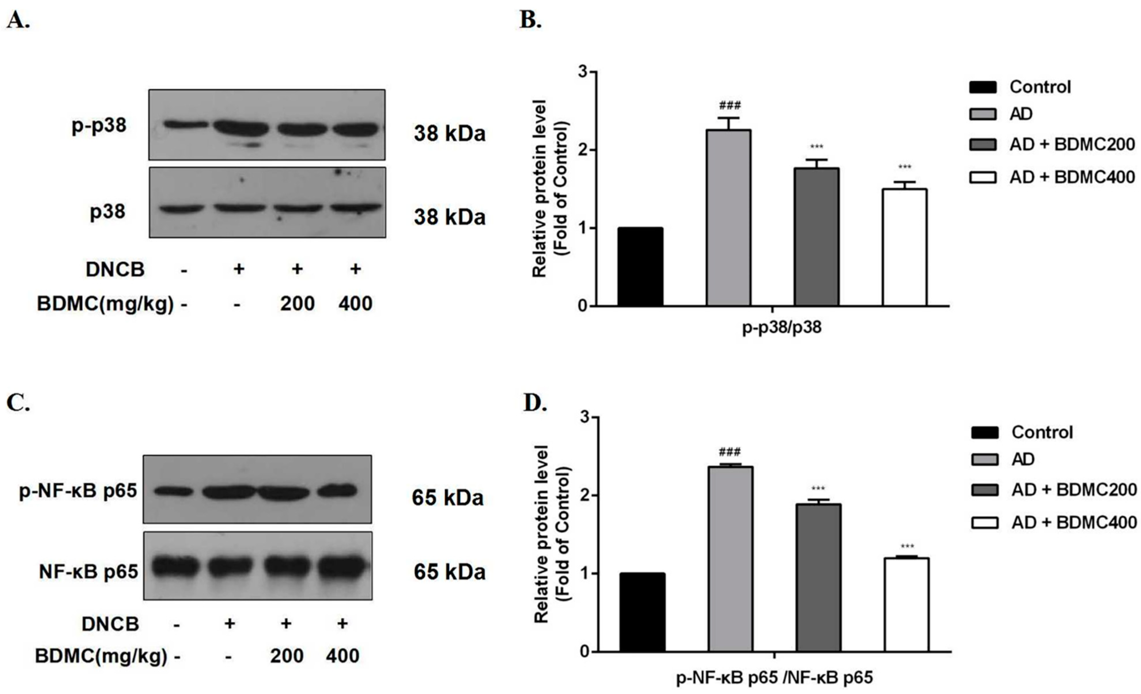 Molecules 28 00293 g006 Molecules 28 00293 g006