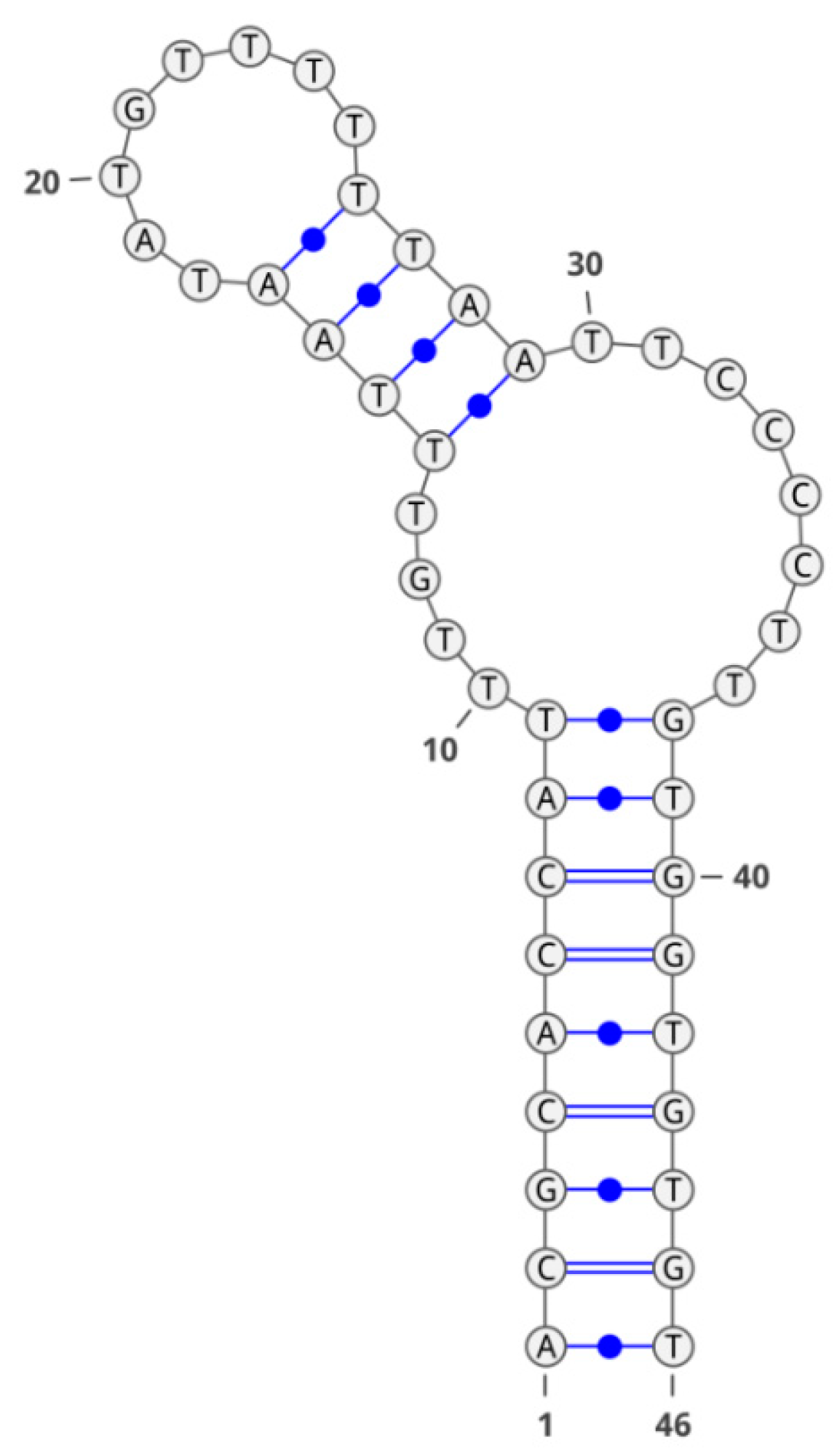 Molecules 28 00294 g005