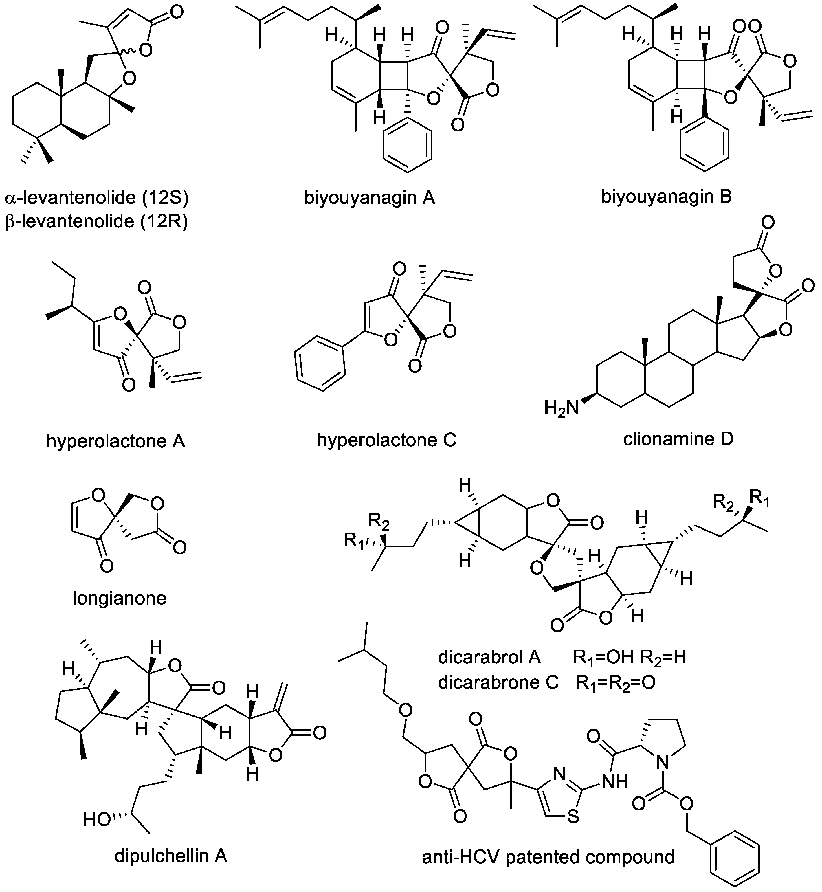 Molecules 28 00300 g001