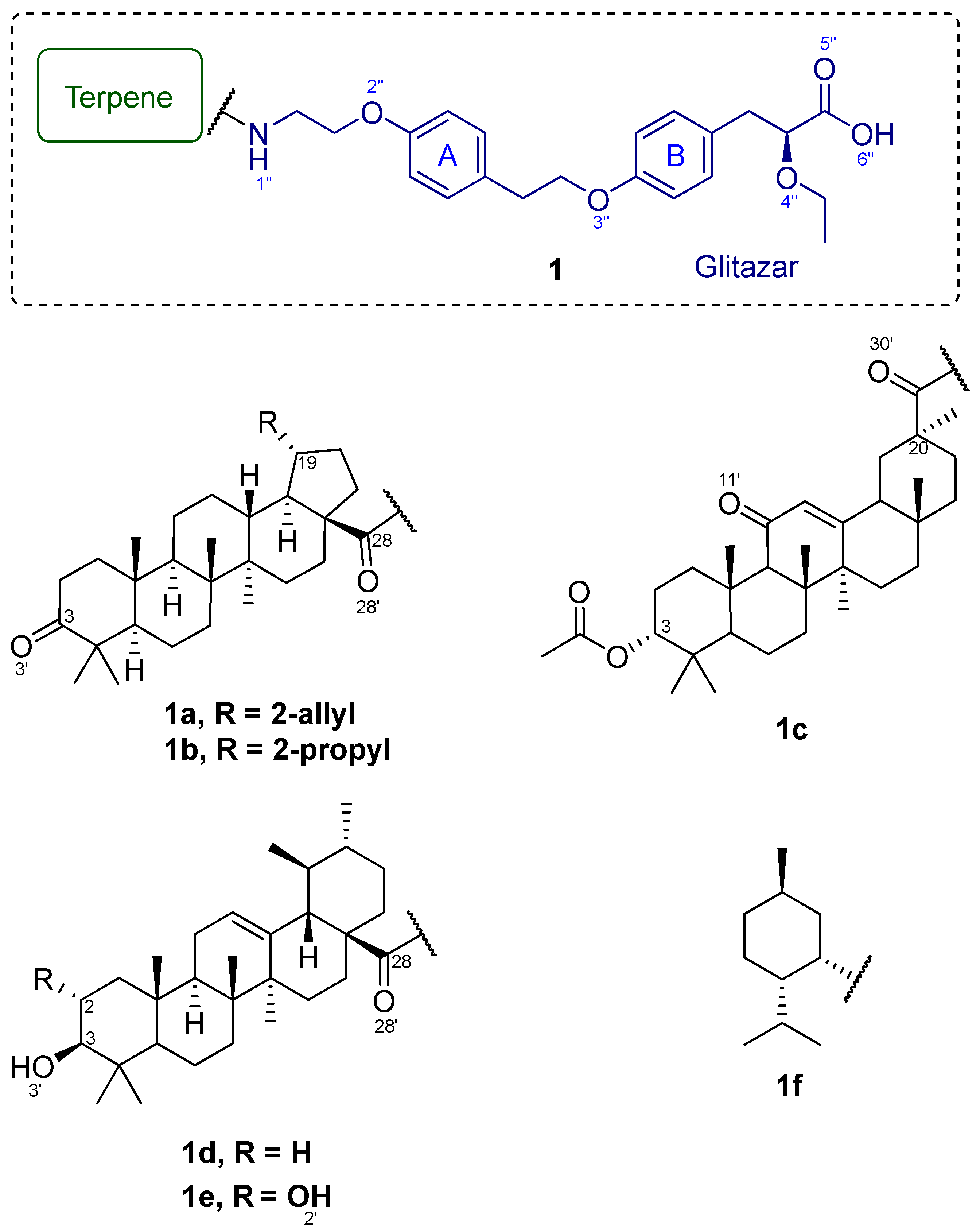 Molecules 28 00303 g001