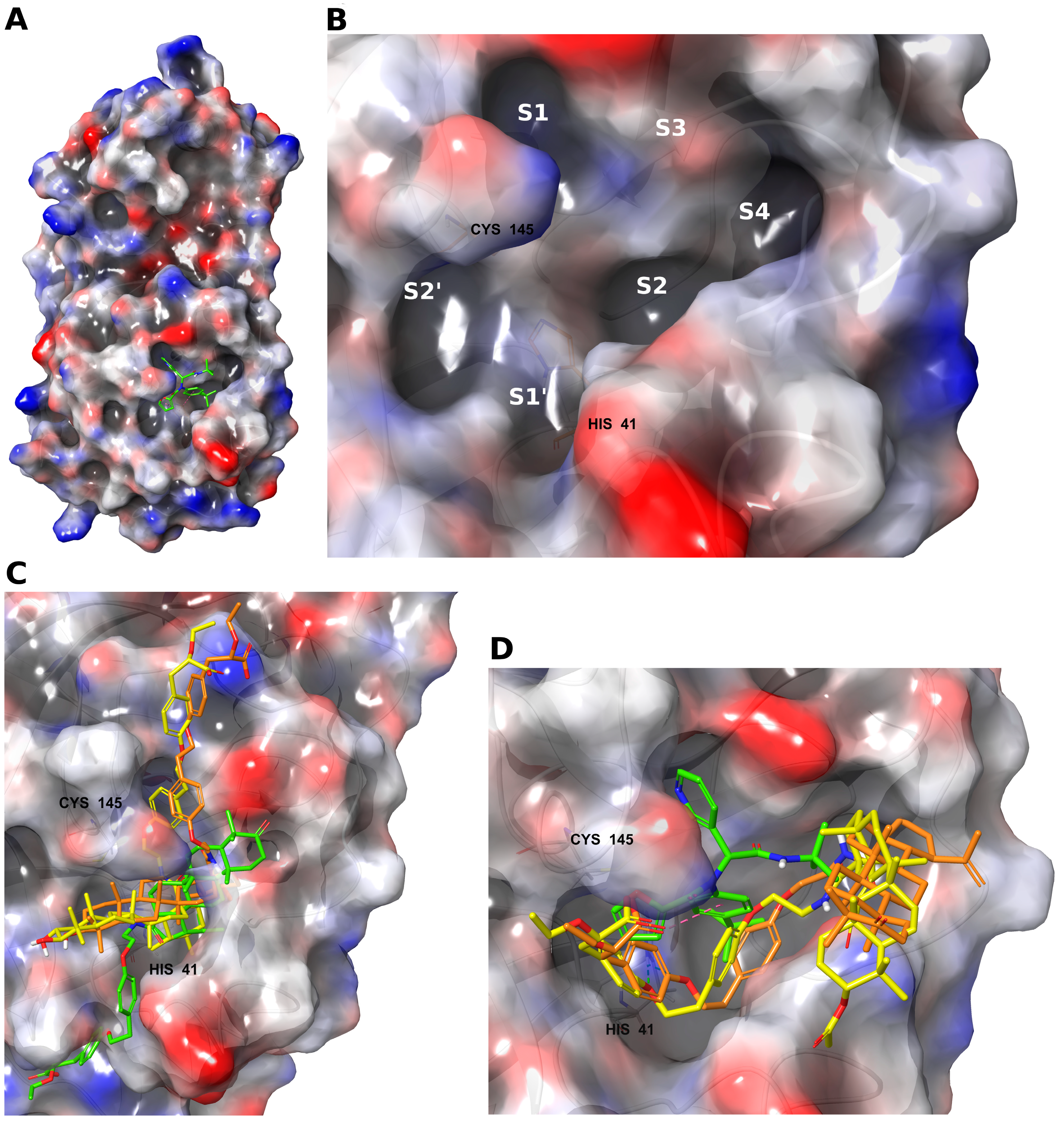 Molecules 28 00303 g003