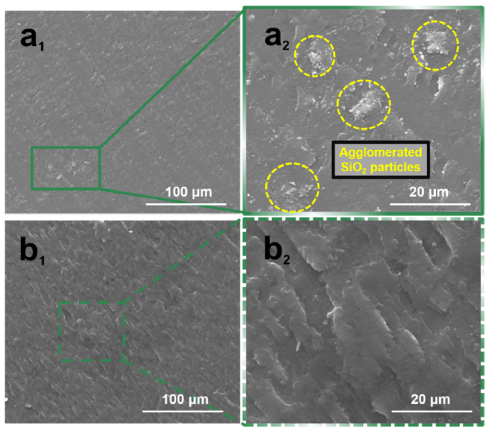 Molecules 28 00304 g001 Molecules 28 00304 g001
