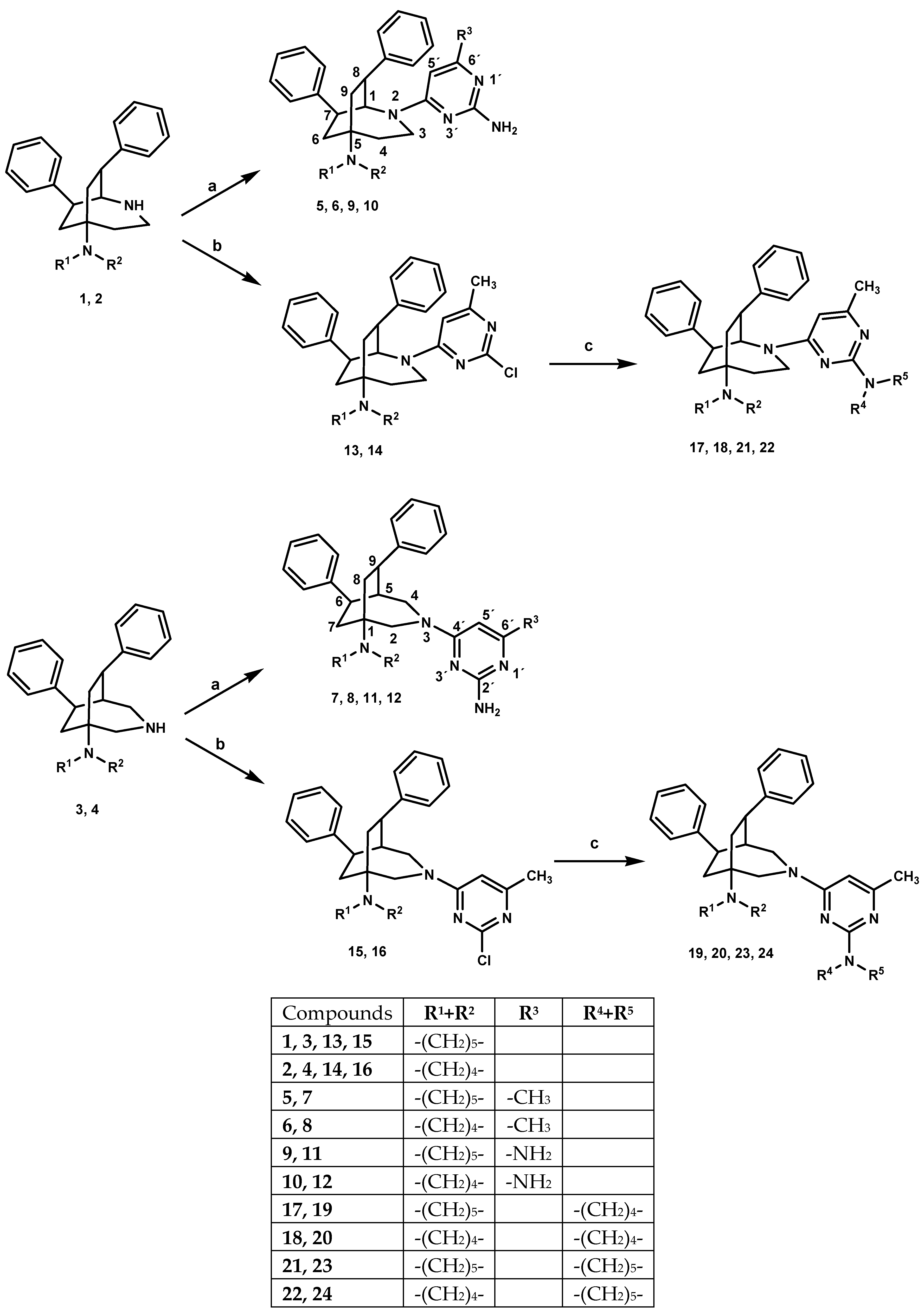 Molecules 28 00307 sch001