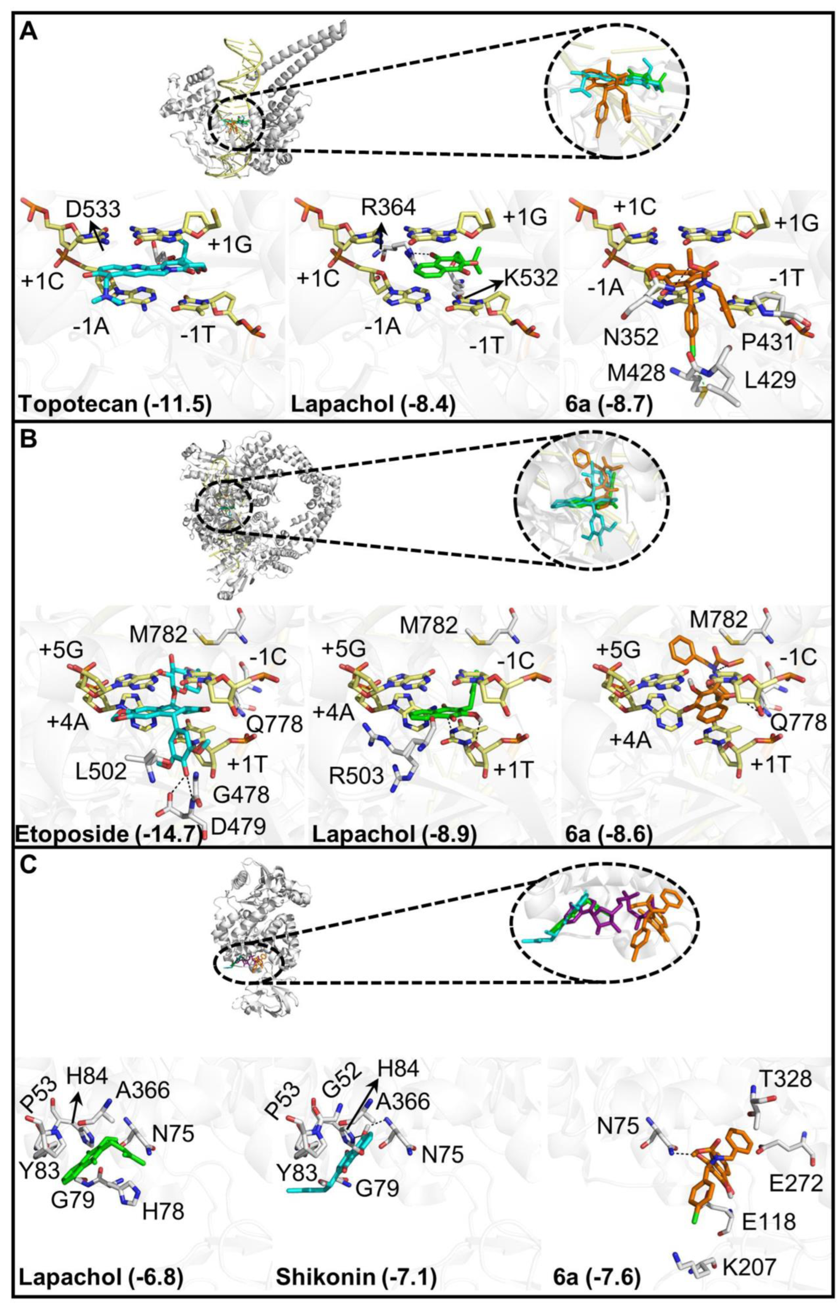 Molecules 28 00309 g002 Molecules 28 00309 g002