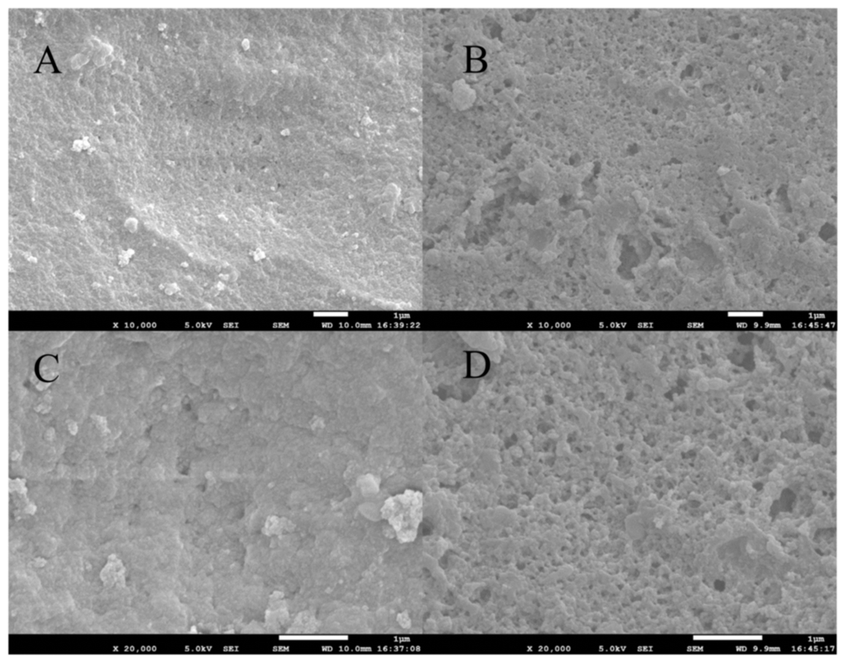 Molecules 28 00310 g002 Molecules 28 00310 g002