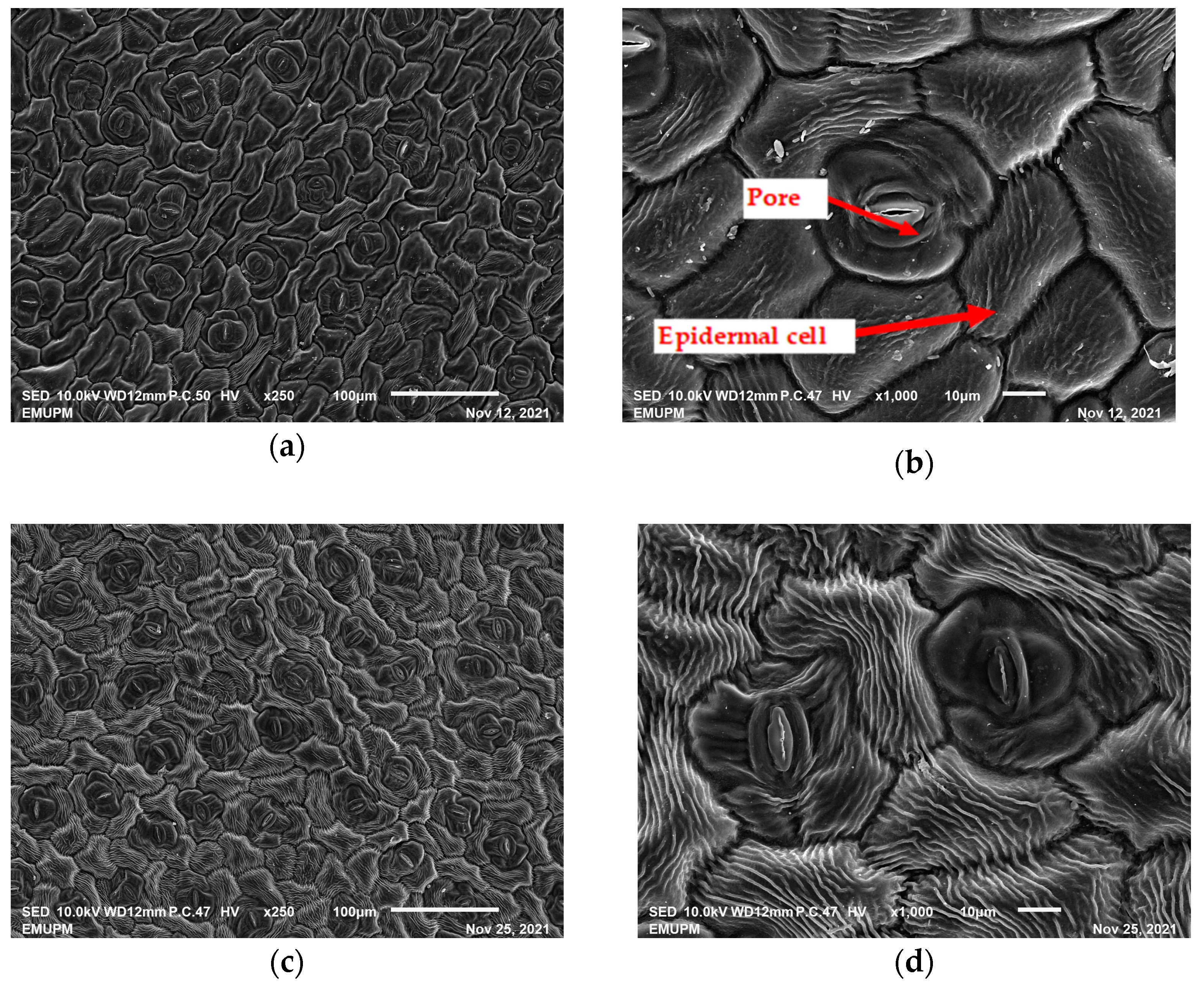 Molecules 28 00311 g003 Molecules 28 00311 g003