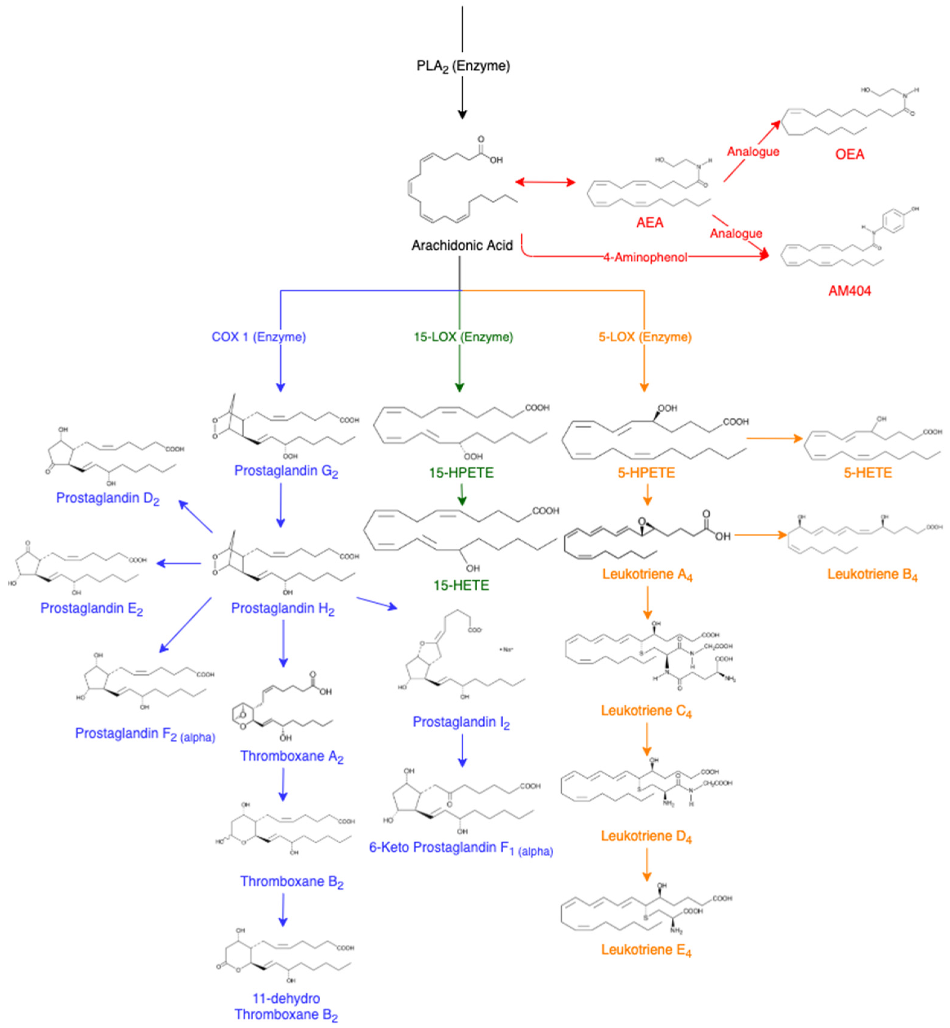 Molecules 28 00312 g001 Molecules 28 00312 g001